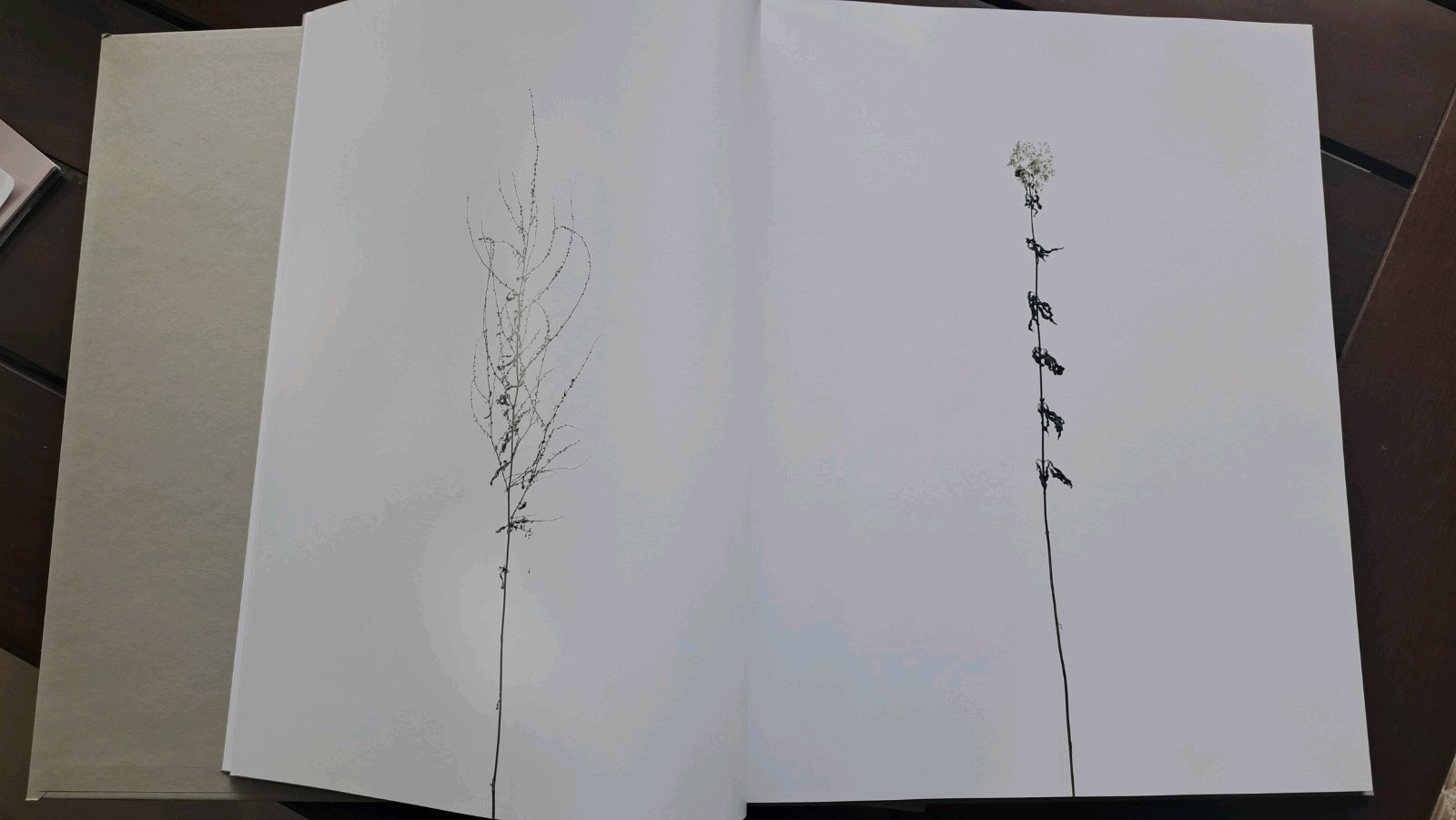 Eric Poitevin Commissioned Book for Van Cleef & Arpels, 128 Pages, Hardcover New