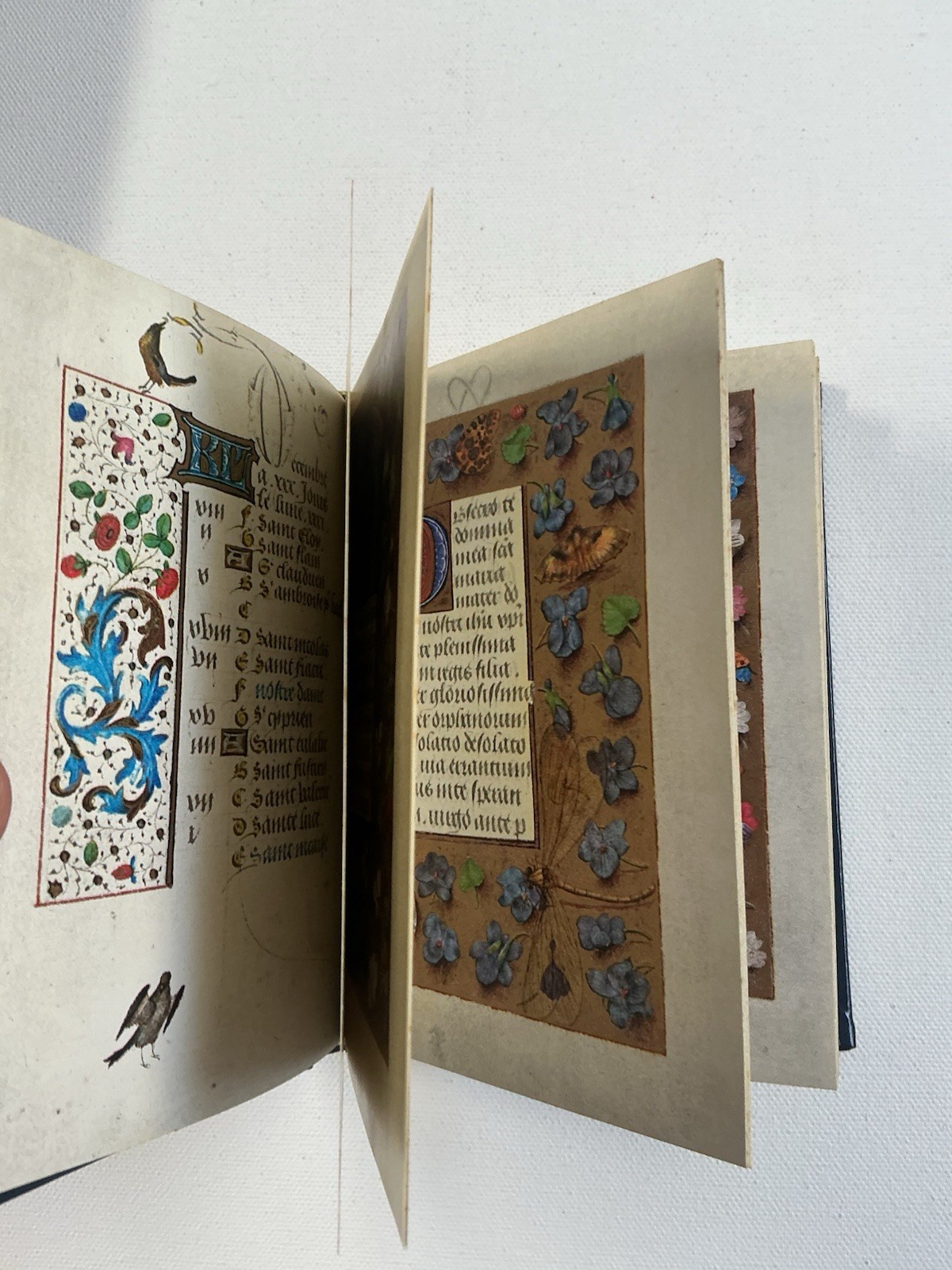 The Master of Mary of Burgundy Book of Hours 1970 Braziller Letter Illuminated