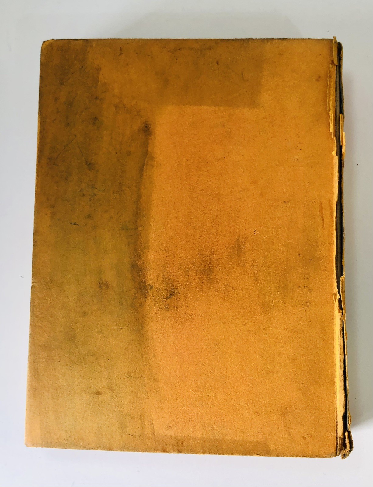 Lucie Attwell’s Vintage Hardback 1930’s Children’s Book by S.W. Partridge