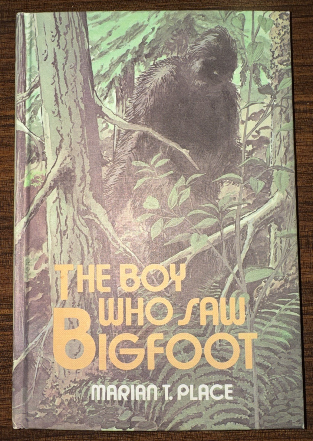 The Boy Who Saw Bigfoot, by Marian T. Place 1979, Vintage Hardcover Book