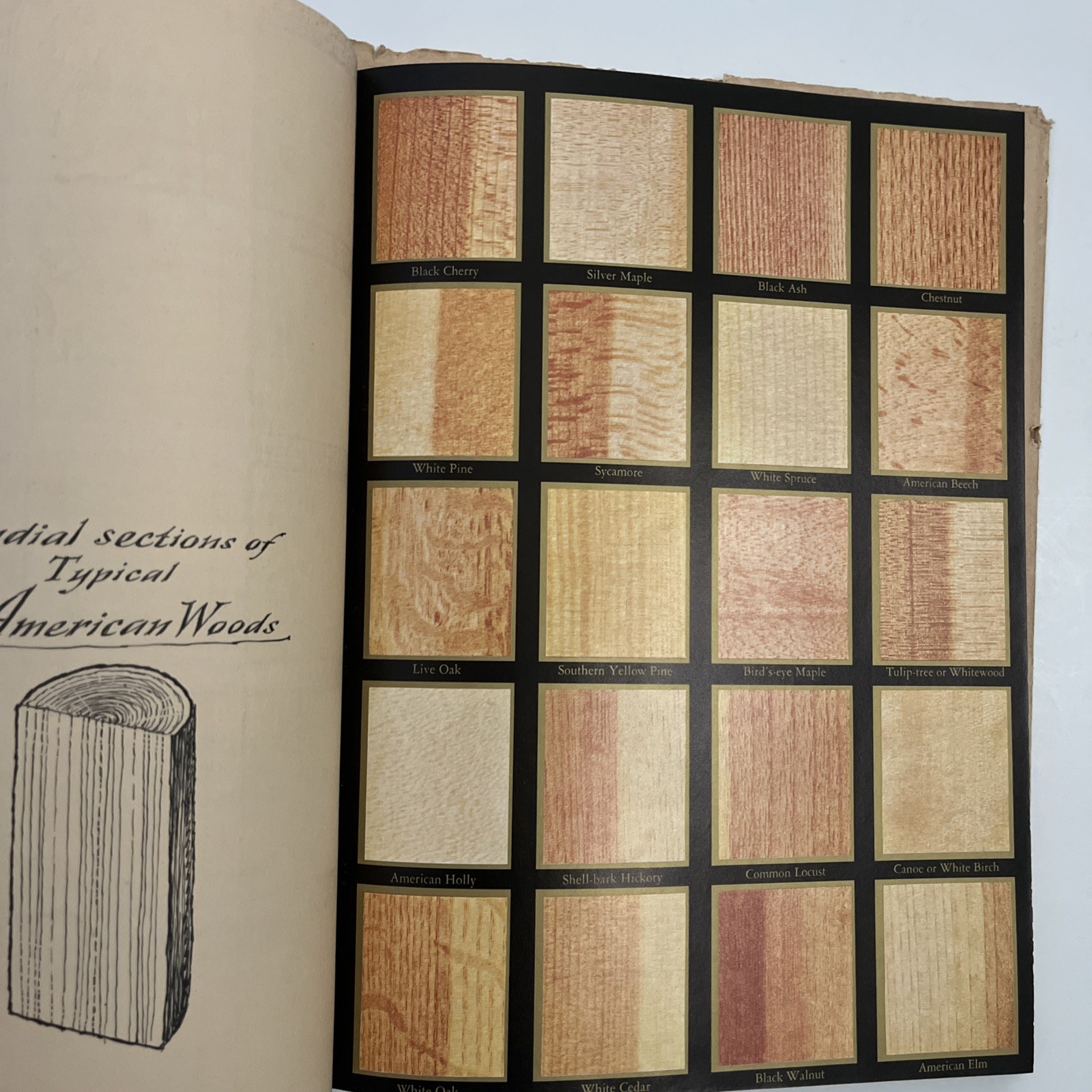 Signed Reverence for Wood Eric Sloane First Ed 1965 HCWDJ Dust Jacket Book Illus
