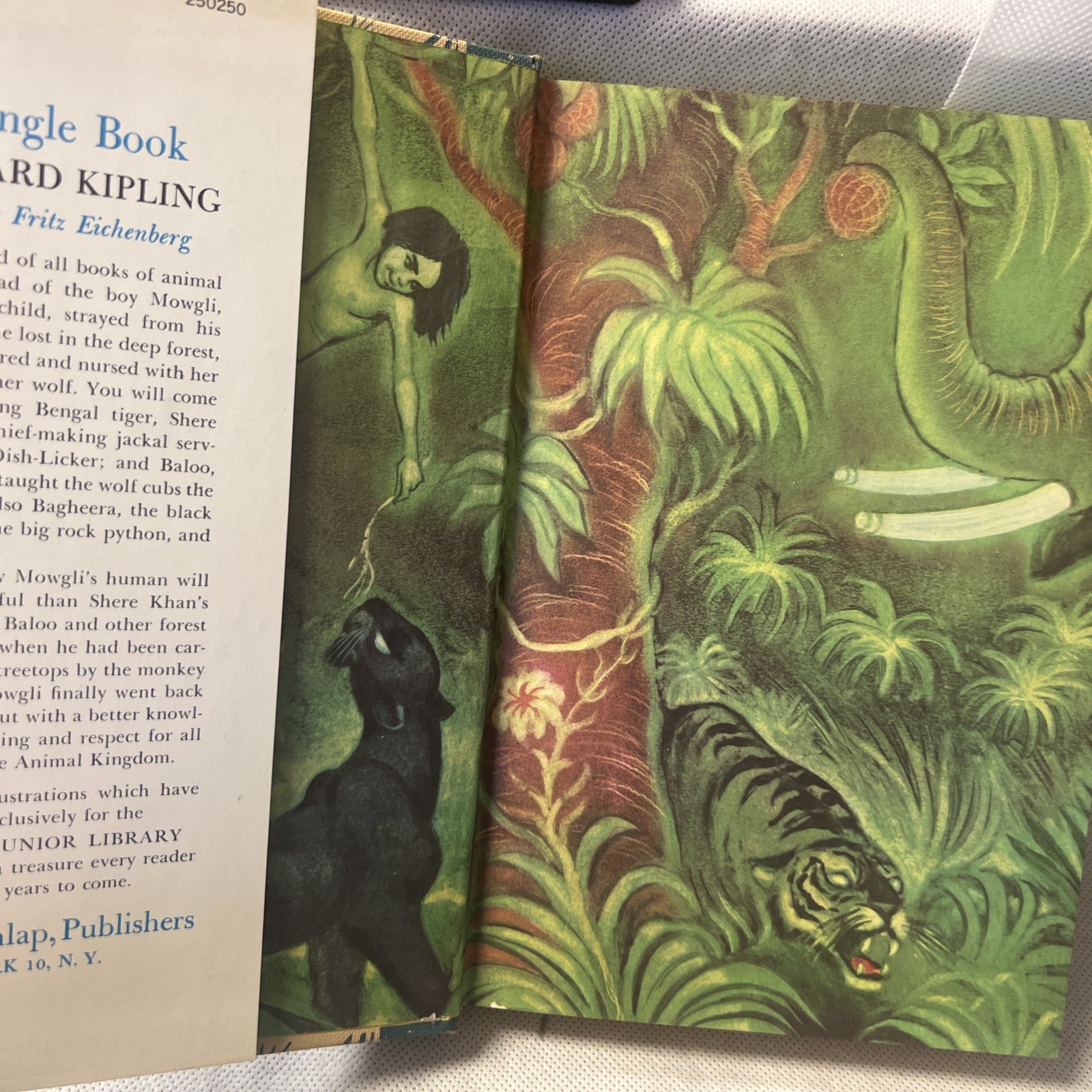 THE JUNGLE BOOK by Rudyard Kipling Illustrated by Fritz Eichenberg HB in DJ 1950