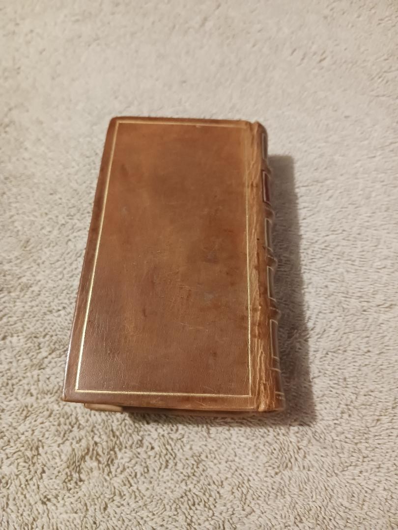 1808 Leather Gothic Classics Castle of Otranto & Old English Baron Walpole reeve