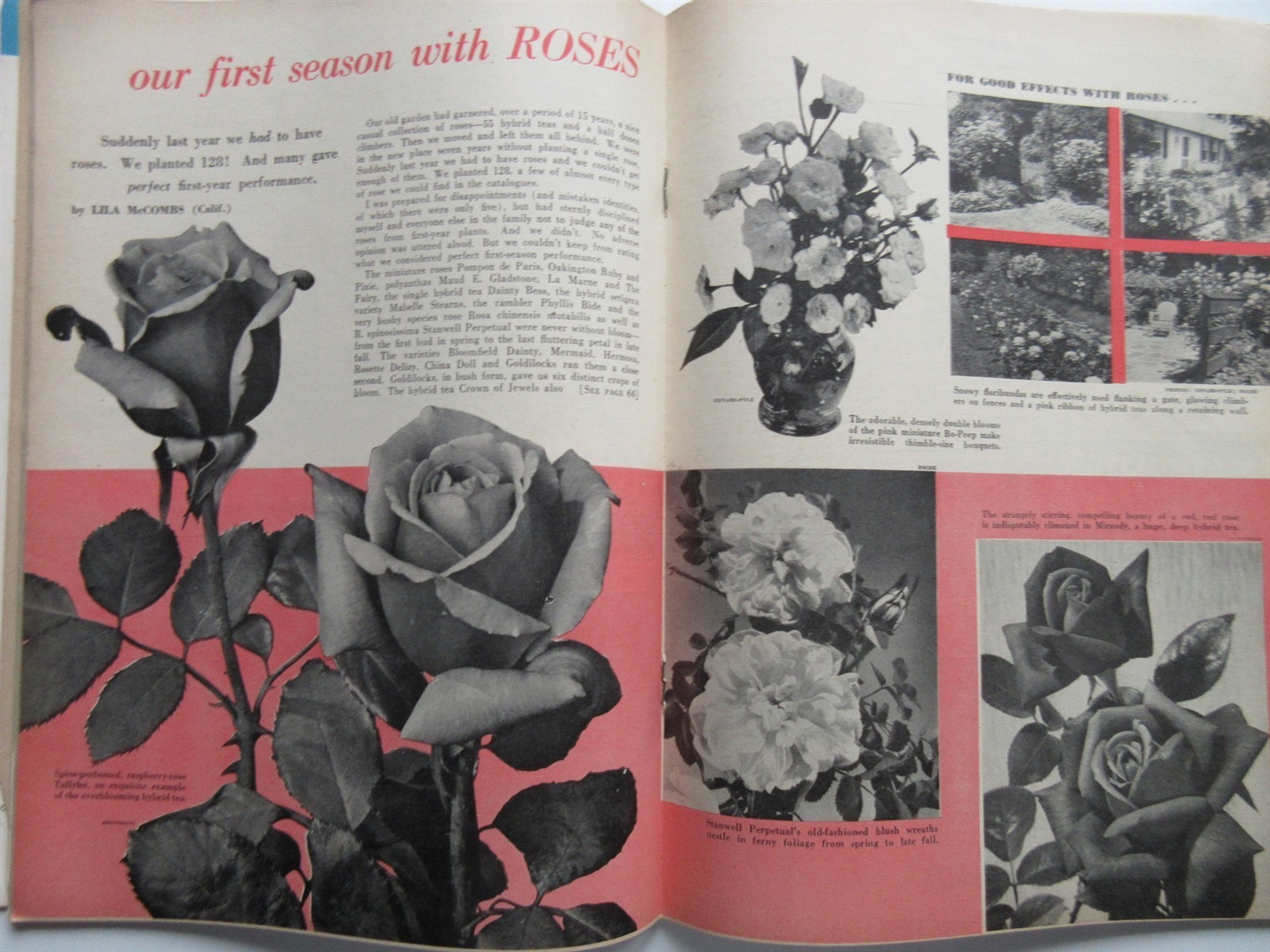 Flower Grower Magazine Vintage June 1953 Gardening – Iris, roses
