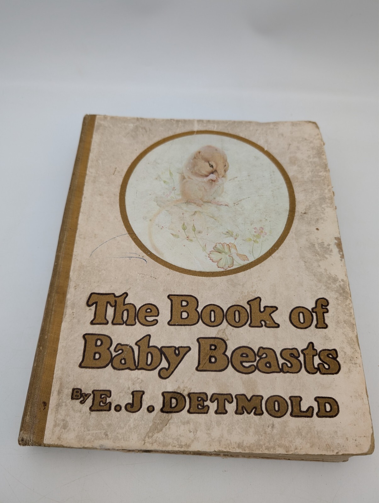 The Book of Baby Beasts Colour plates Illustrations By E.J. Detmold