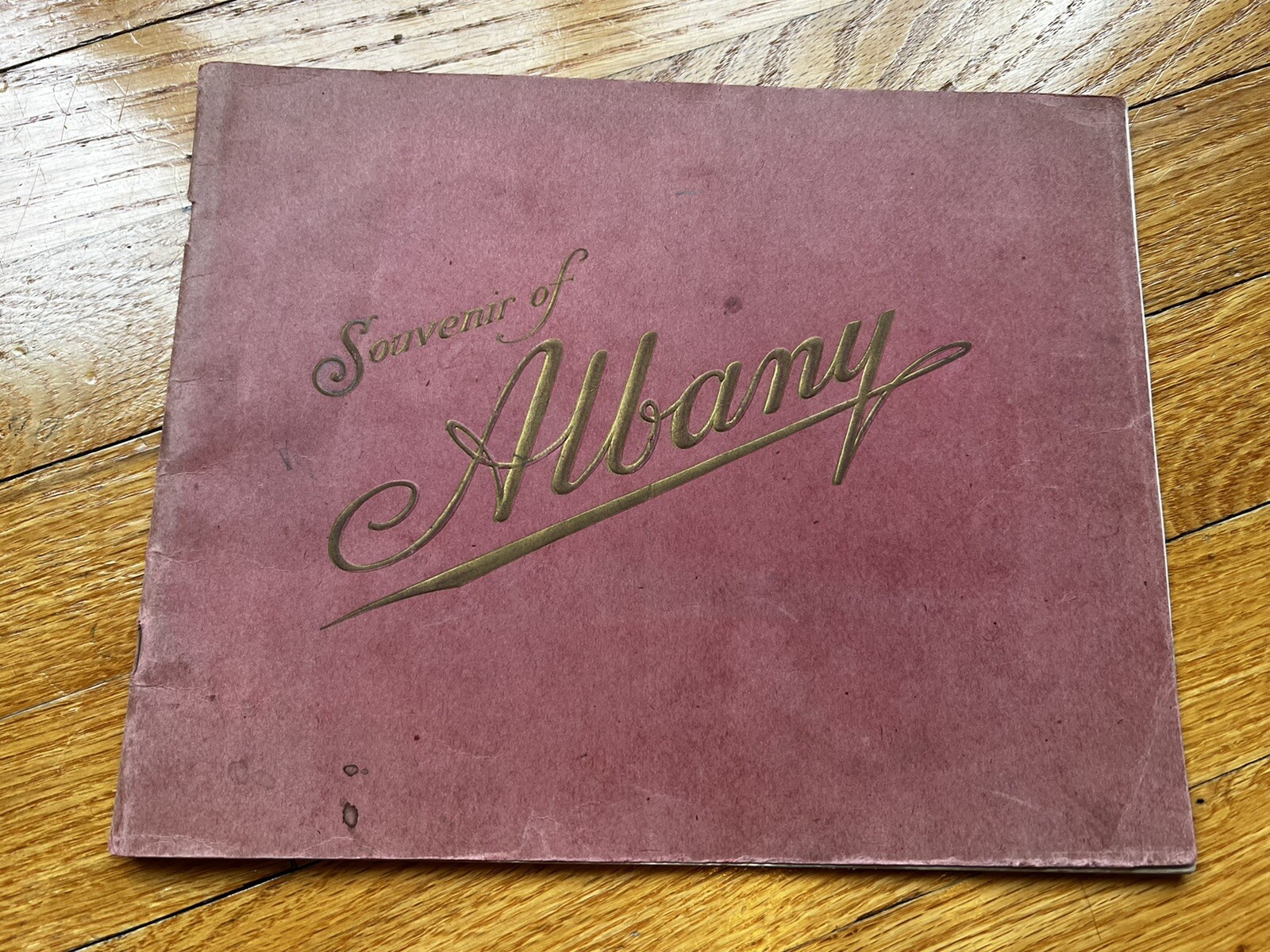 Souvenir of Albany, NY~ New York ~ L.H. Nelson Company~ Inscribed ~ 1890’s