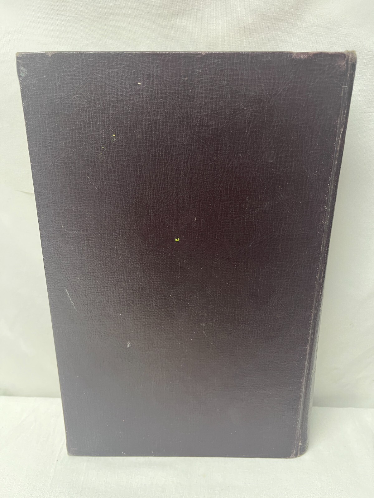 Smith’s Bible Dictionary: Revised Edition, by Smith William. A.J.Holman Company