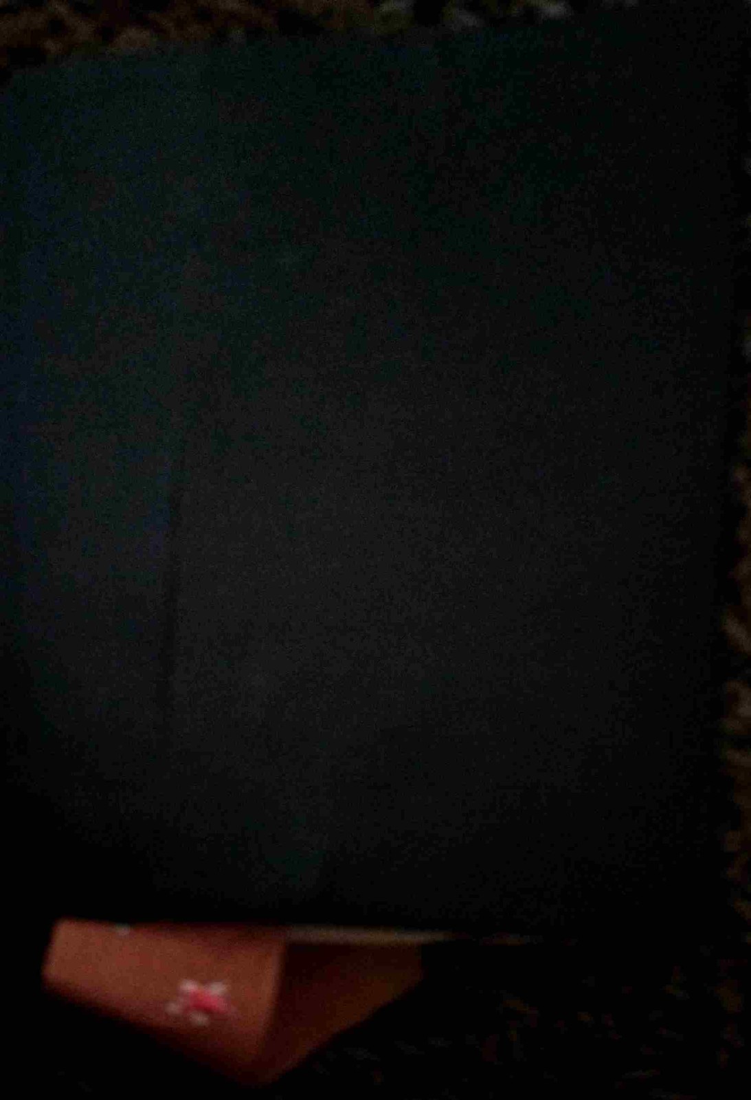 Hendrickson Family Bible (Bible Rescue #952)
