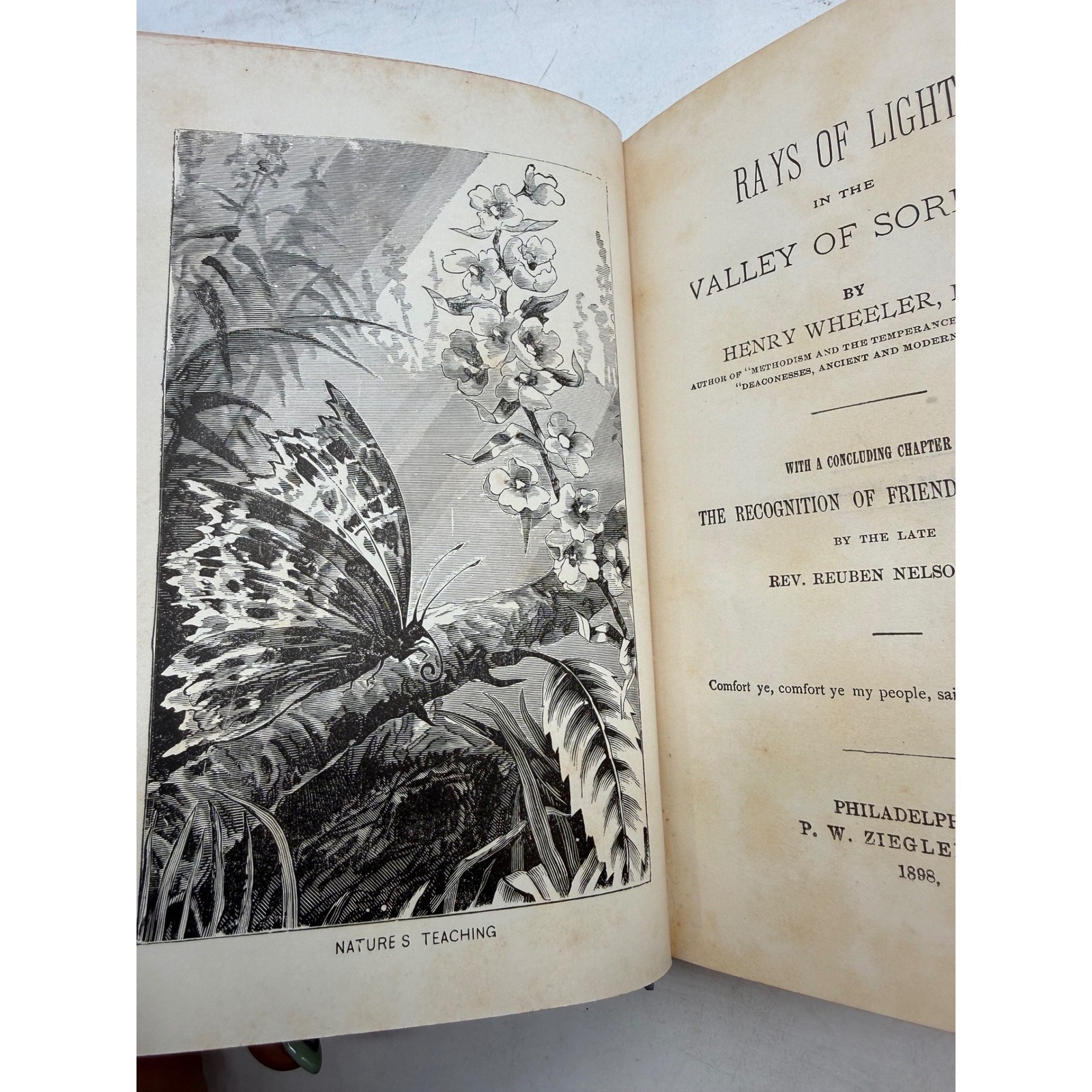 Rays of Light in the Valley of Sorrow Henry Wheeler 1898 Religious Antique Book