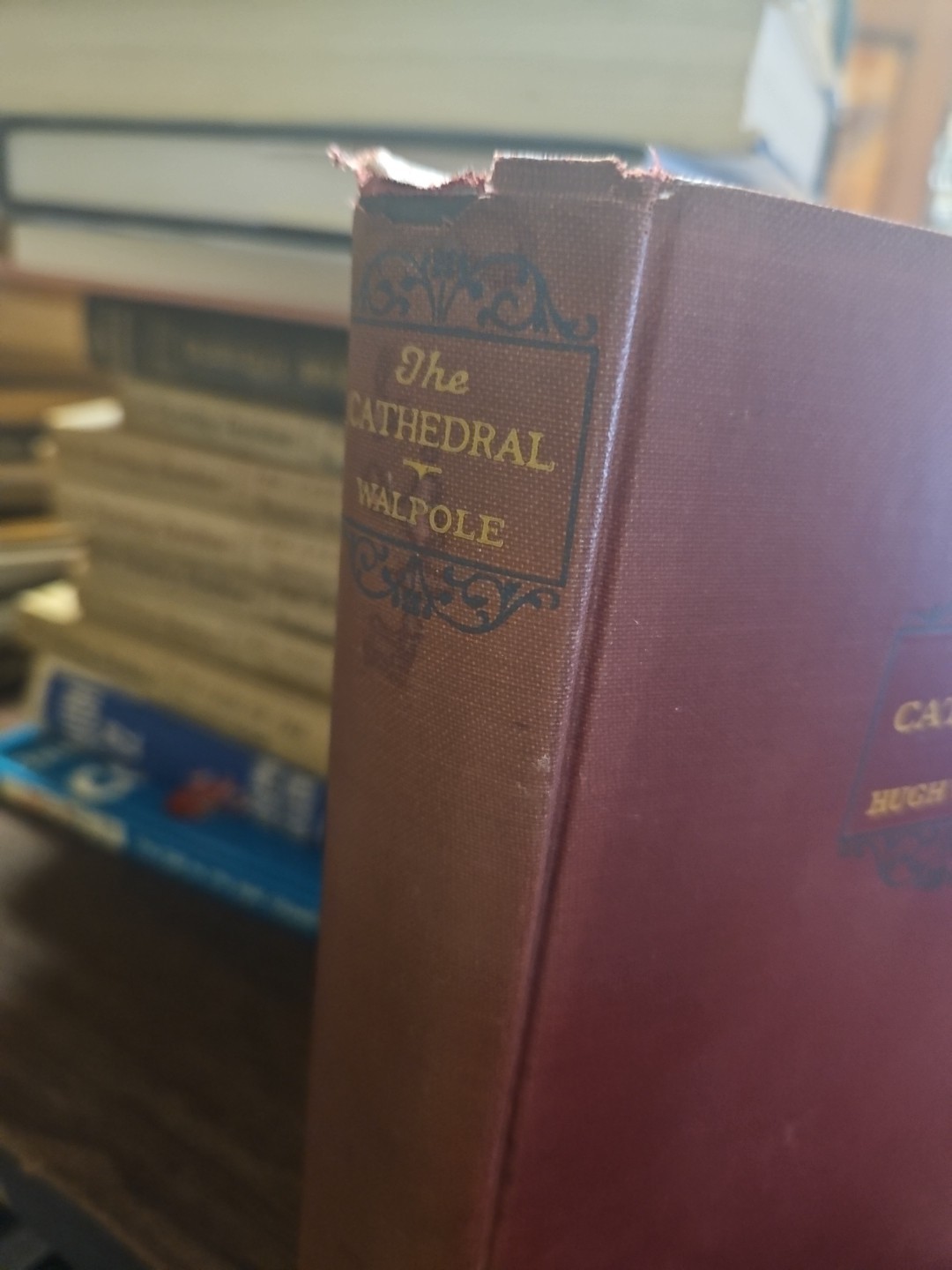Hugh Walpole / THE CATHEDRAL 1st Edition 1922 HC Vintage Rare