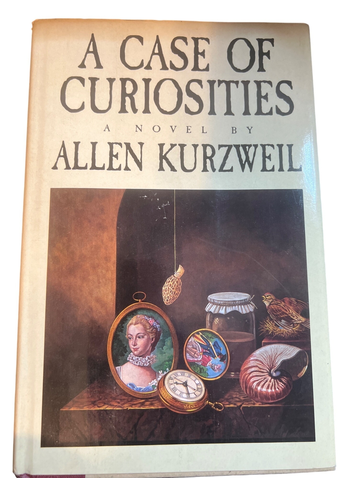 A Case Of Curiosities Hardcover Novel By Allen Kurzweil First Edition HBJ Vintag