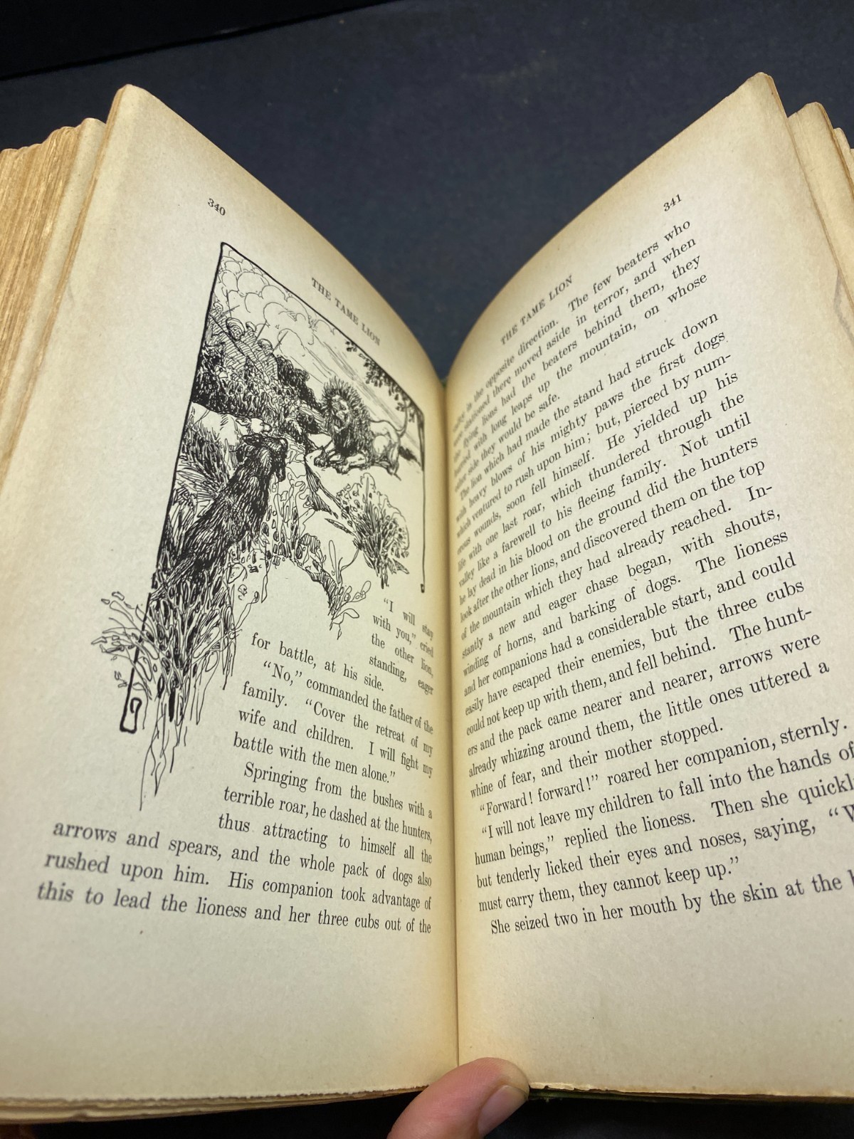 1905 – The Dwarf’s Spectacles and Other Fairy Tales – Nordau – Rare – Hardcover