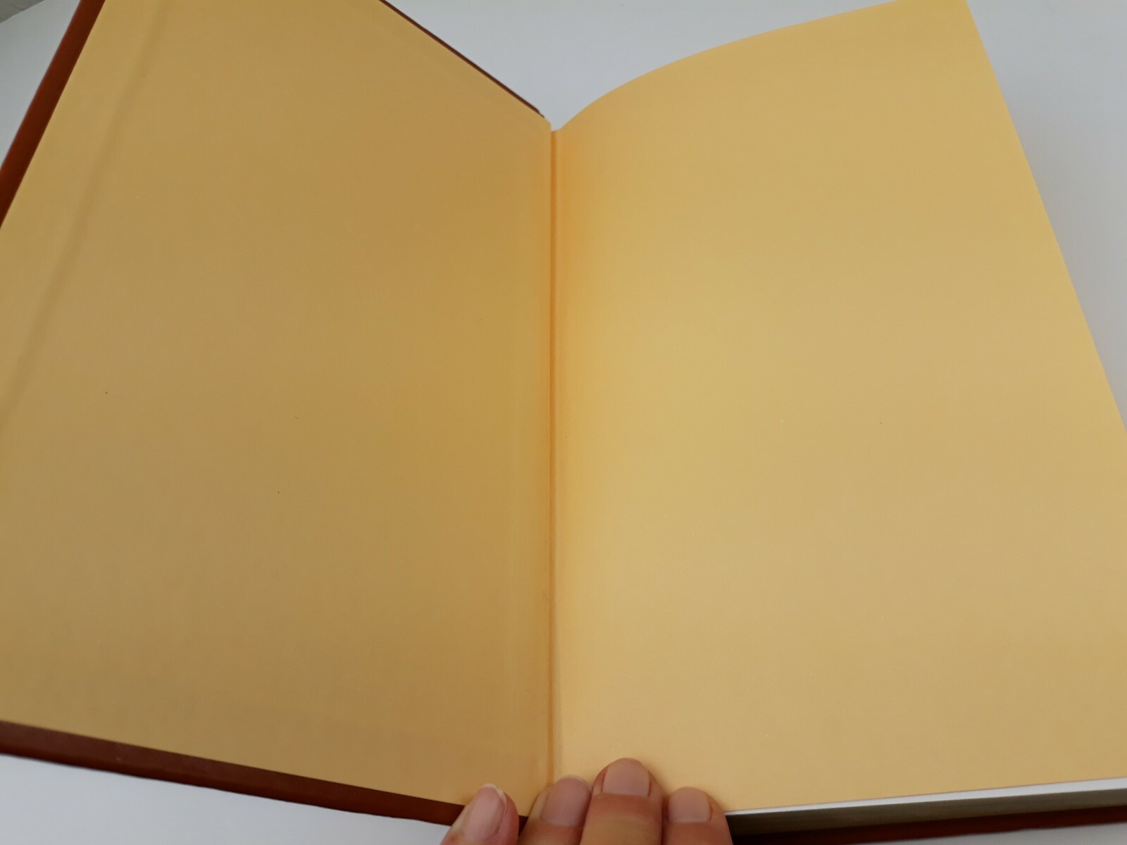 GREAT EXPECTATIONS Charles Dickens Collector’s Edition Leather DALMATION PRESS