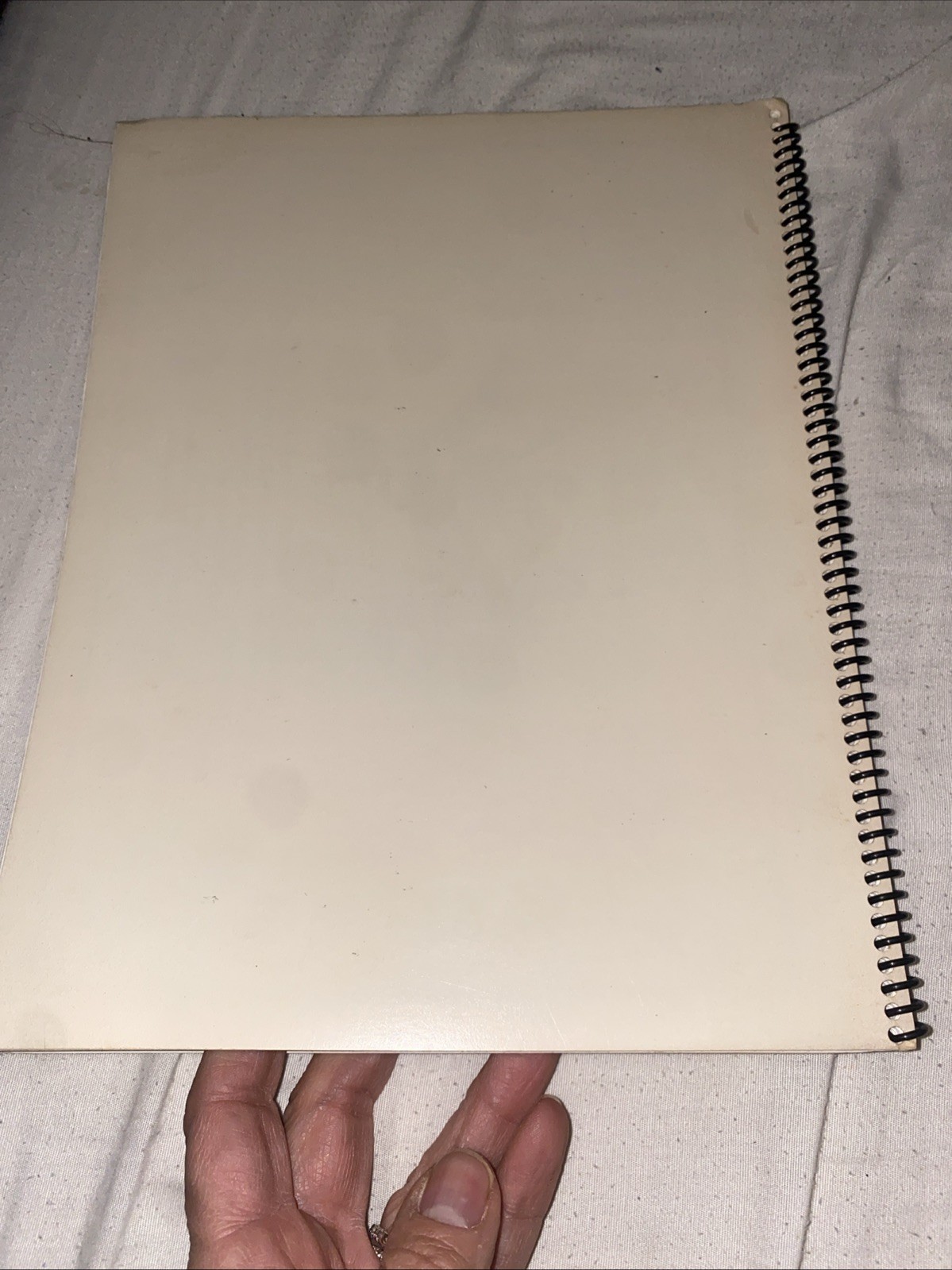 Pointed Brush Writing Manual by Fran Strom 1989 Spiral Bound