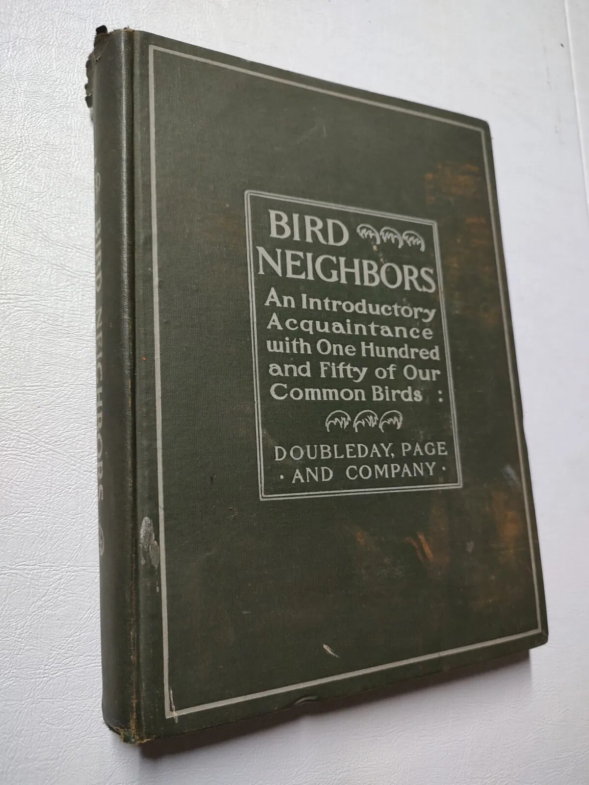 1902 Bird Neighbors by Neltje Blanchan – 52 Colored Plates