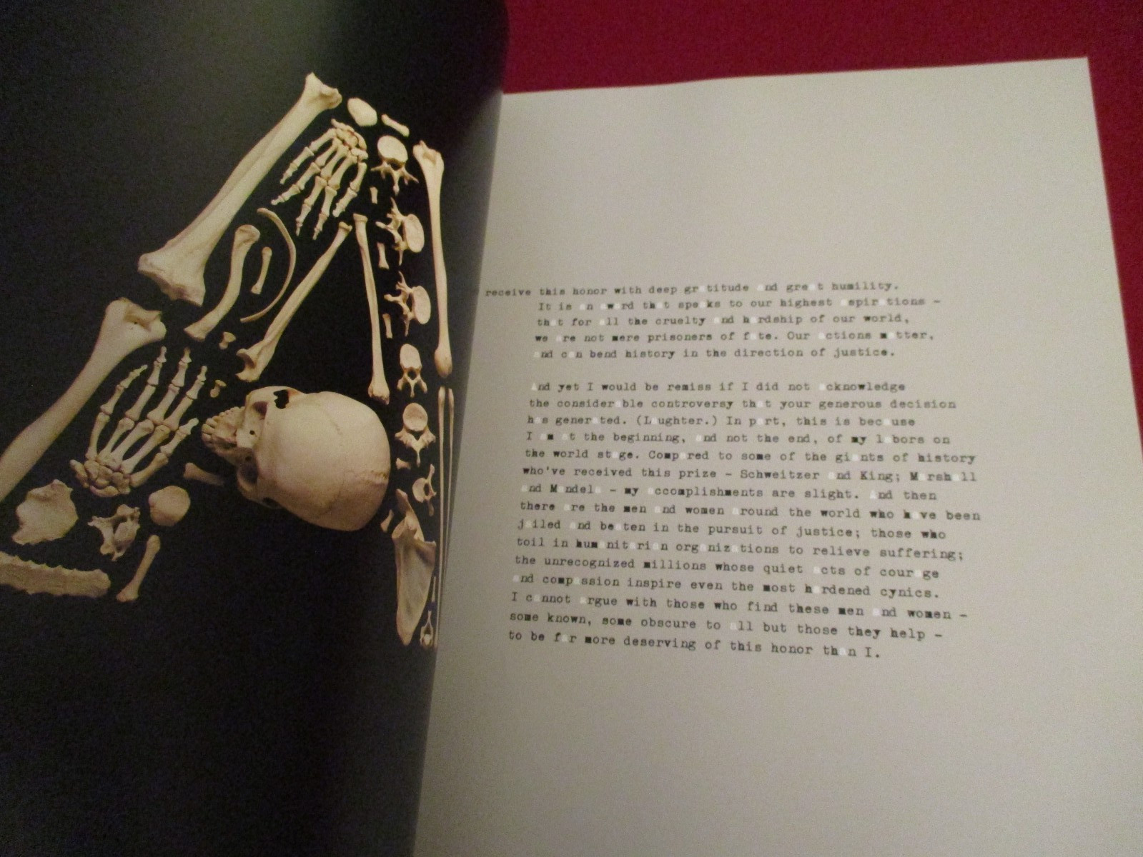 Stop the Violence, Character Studies by Francois Robert ~ Art with Bones