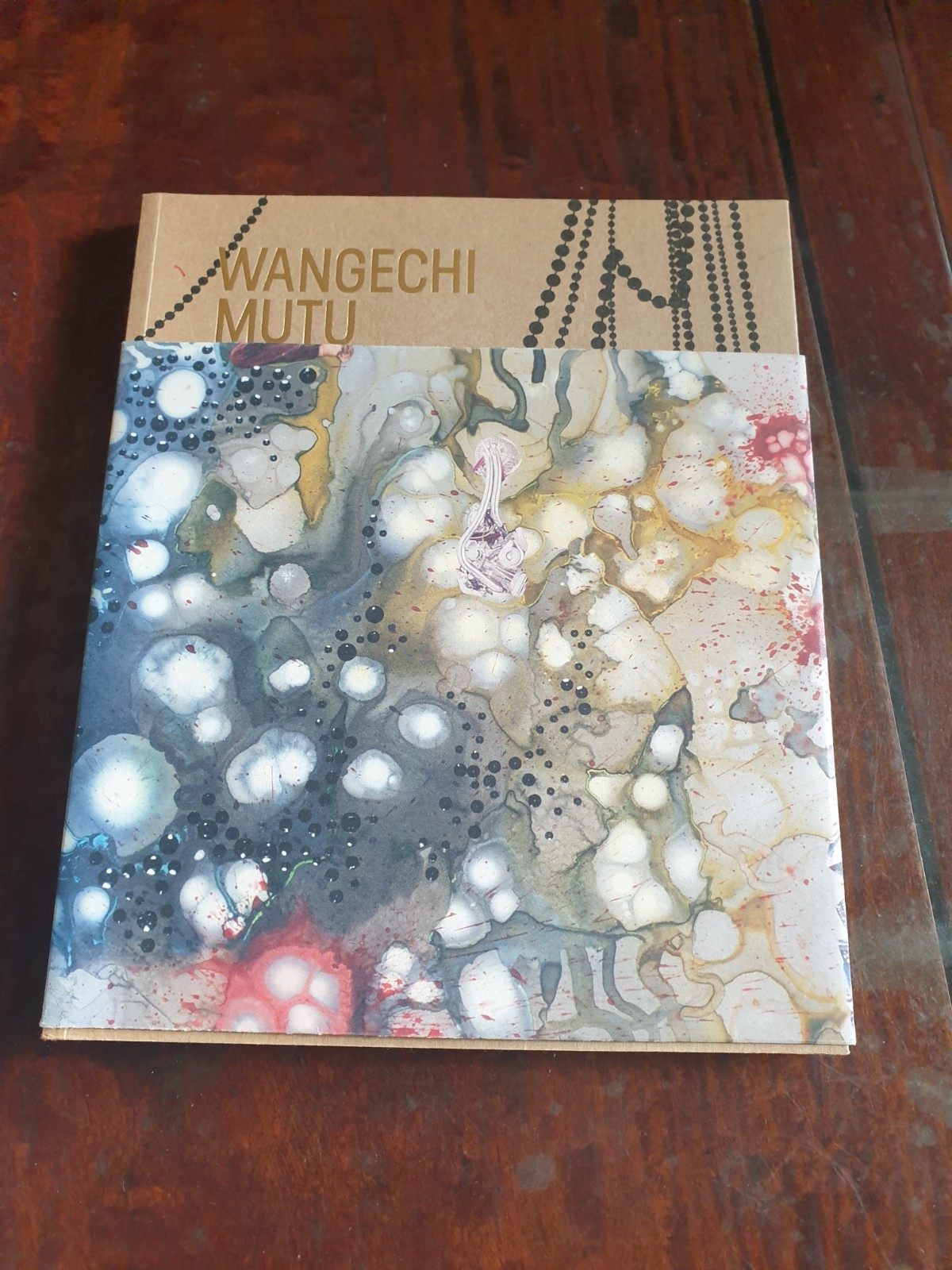 WANGECHI MUTU – Museum of Contemporary Art Australia, 2013 – Rachel Kent Scarce