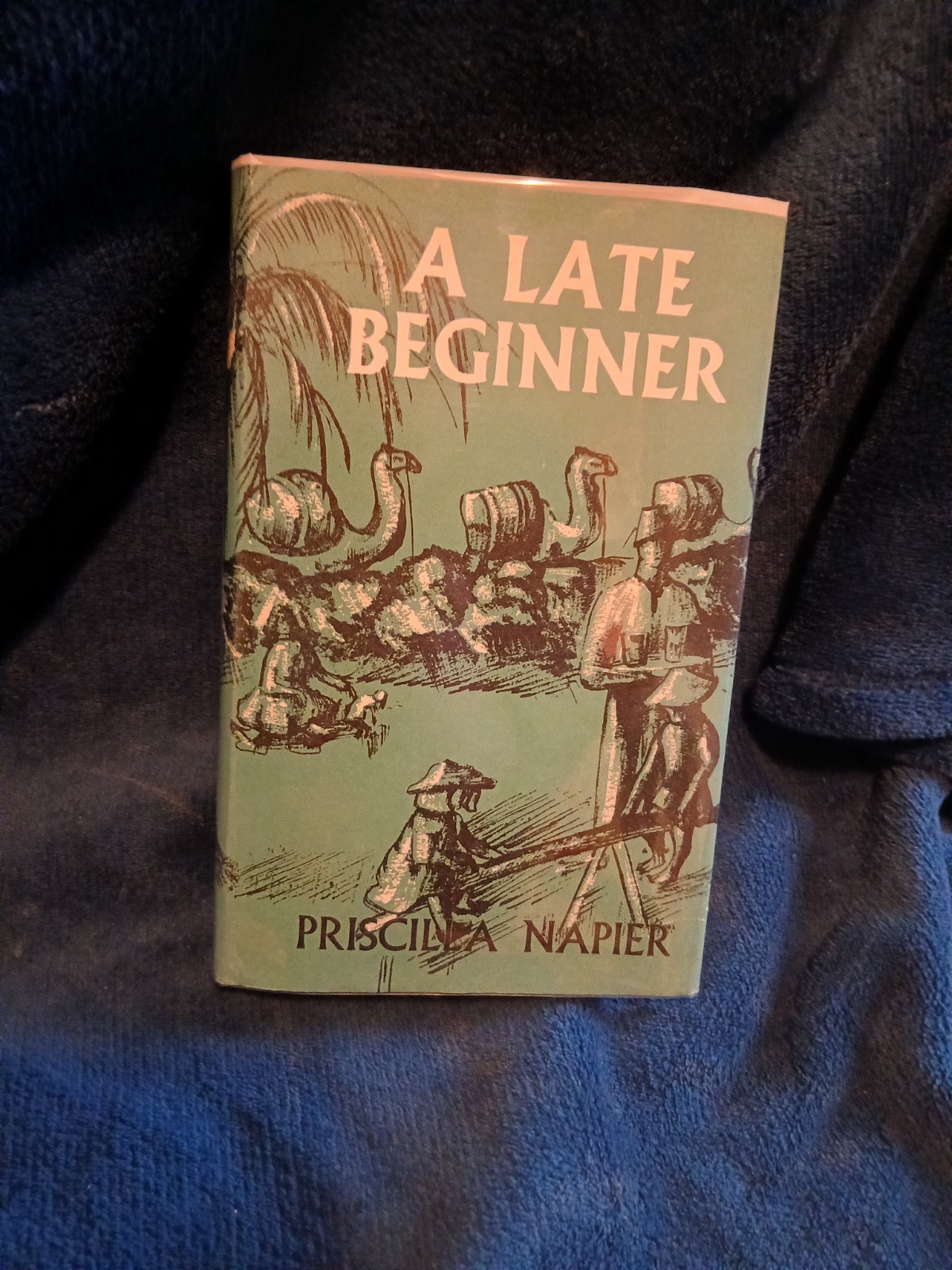 A Late Beginner : Priscilla Napier – 1966 (16)