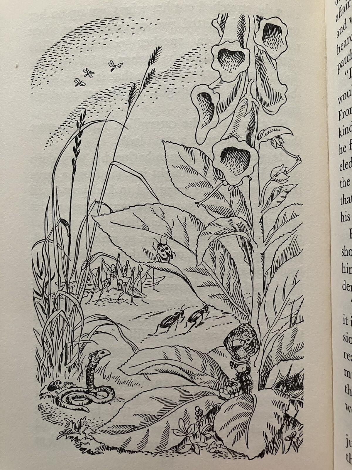 Margaret Moore/Willie Without/HBDJ/First Edition/1951/Nora Unwin