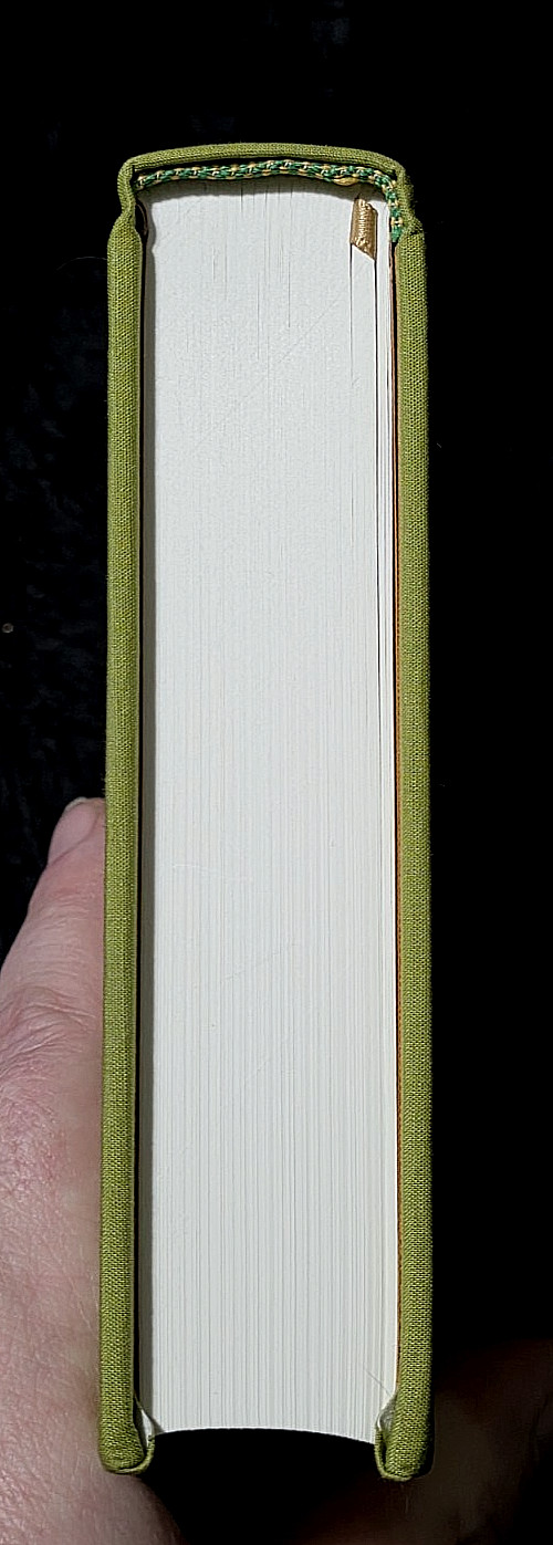 The Quest of Ruru~ J. Michaud PH.D.~ Aula Lucis & Nova Uma Press- 2025