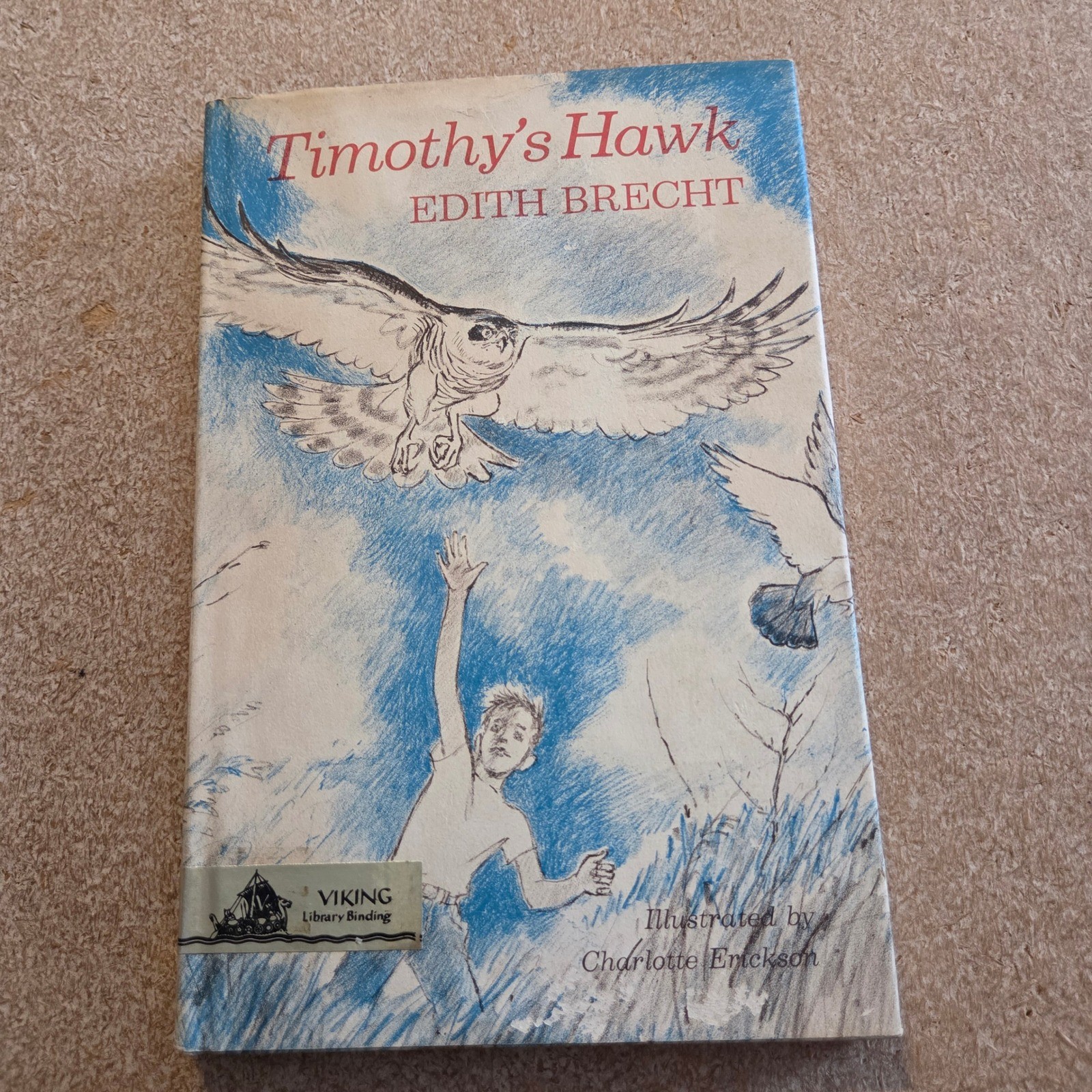 Viking Press Timothy’s Hawk Edith Brecht Childrens Book 1966 Blue White Vintage