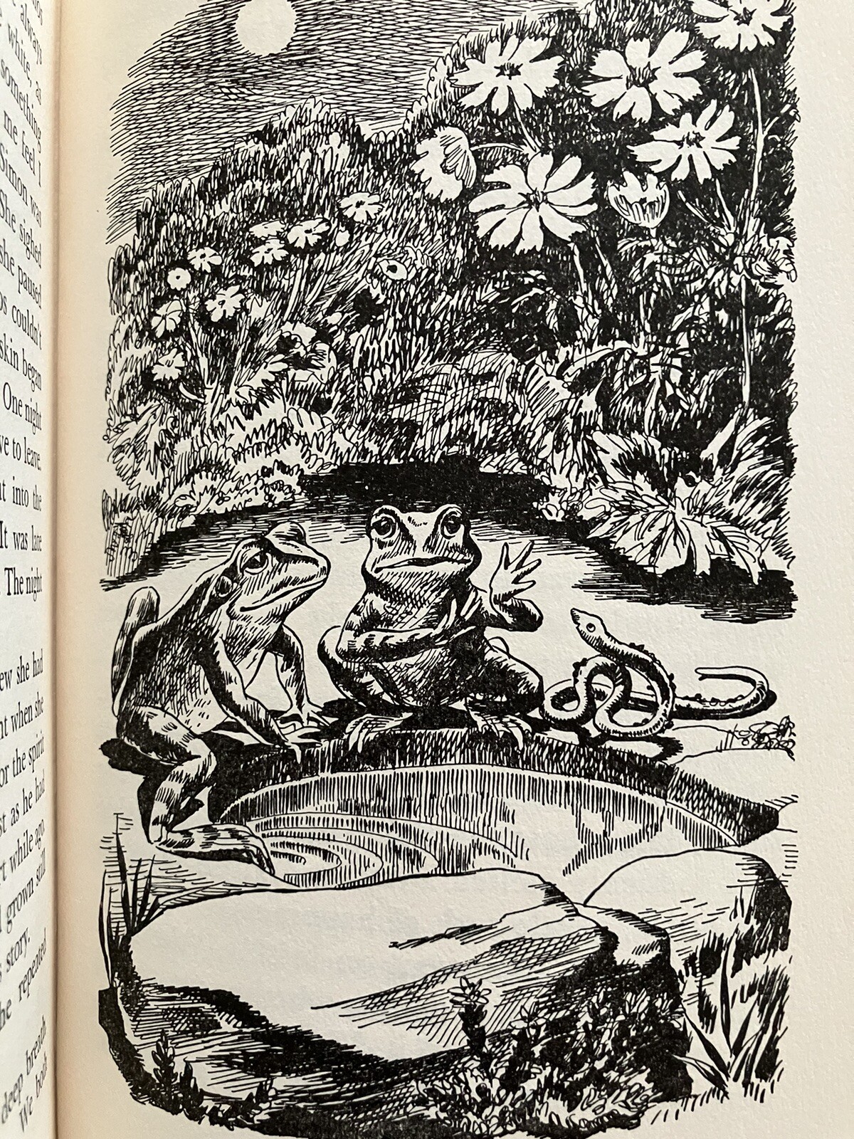 Margaret Moore/Willie Without/HBDJ/First Edition/1951/Nora Unwin