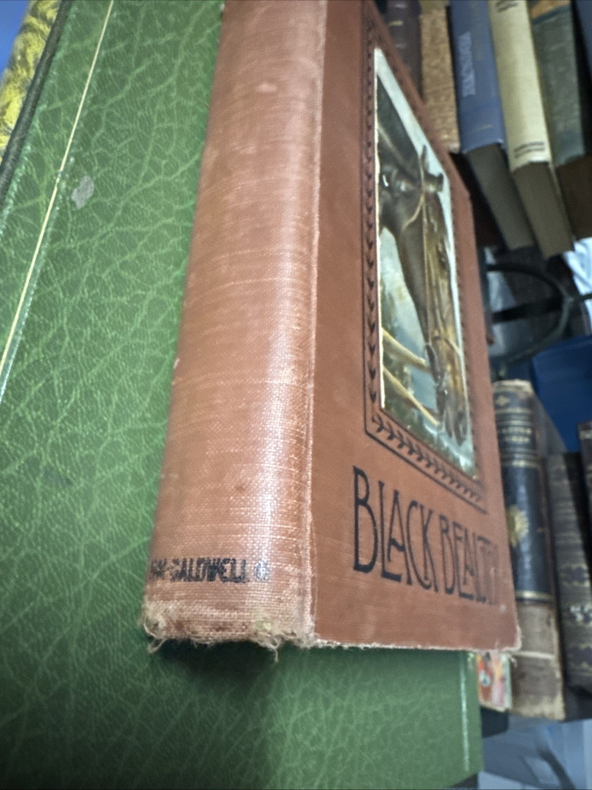 Black Beauty 1894 Rare Anna Sewell vintage H.M. Caldwell Hovendon Pub