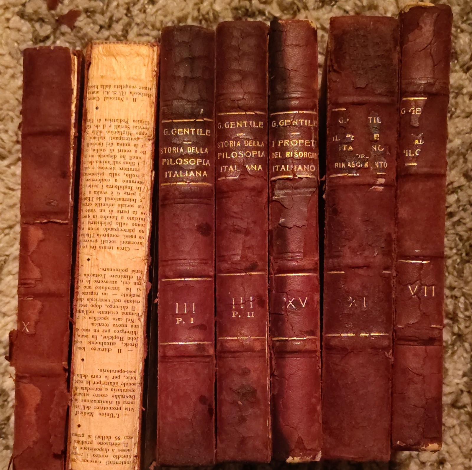 Giovanni Gentile Complete Works: Leather Binding, Italian Philosophy, 1930