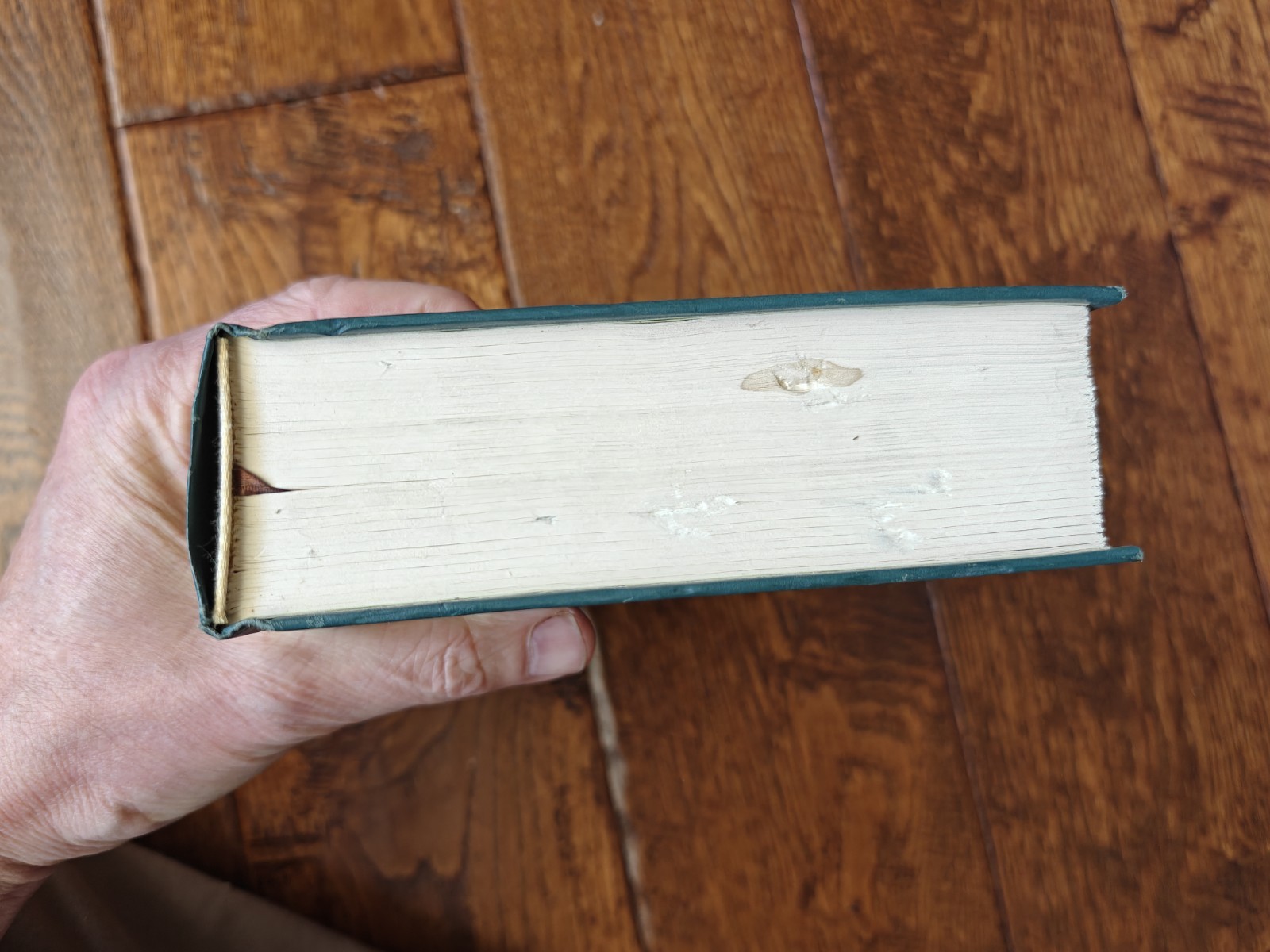 Dracula • Frankenstein International Collector’s Library – Stoker Shelly, HB