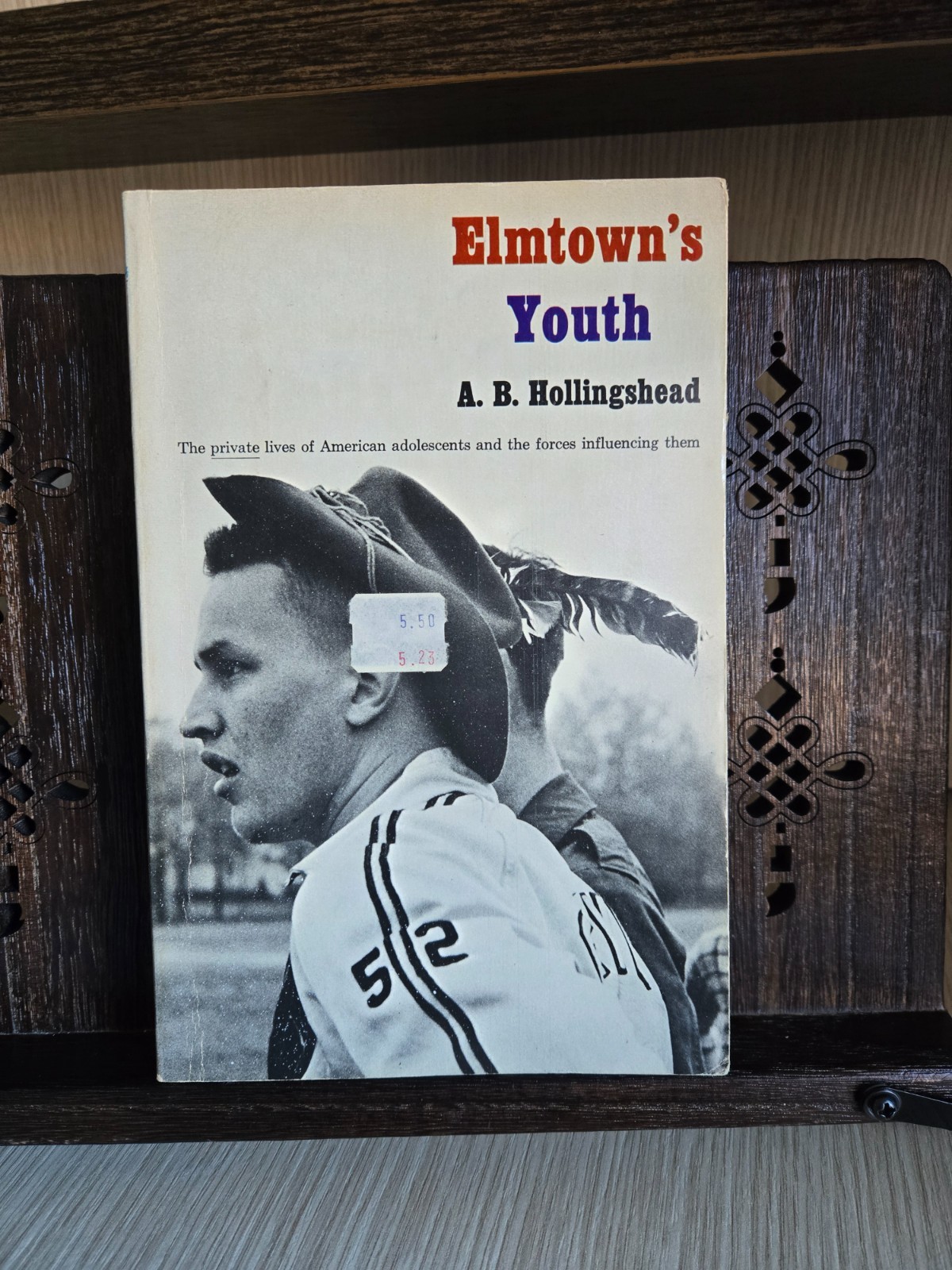 Elmtown’s Youth – A. B. Hollingshead – Sociology Classic – John Wiley & Sons