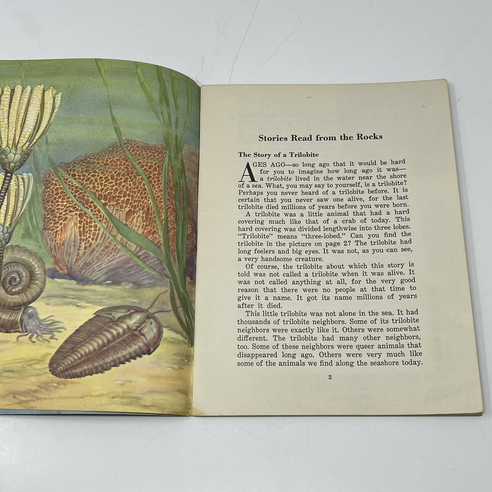1950 Stories From The Rocks Basic Science Education Book Bertha Morris Parker