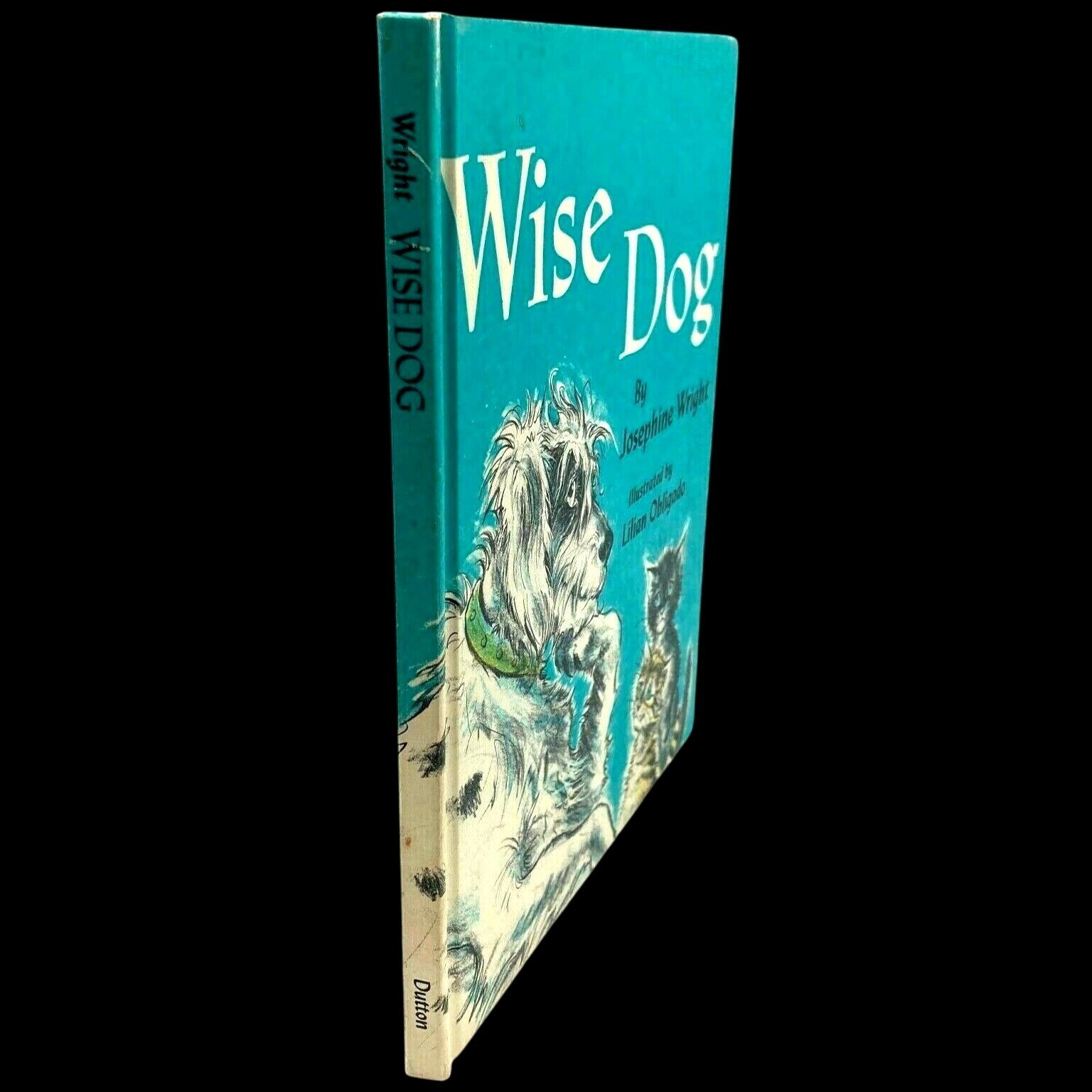 WISE DOG Josephine Wright 1966 Hardcover Weekly Reader Lilian Obligado Illust
