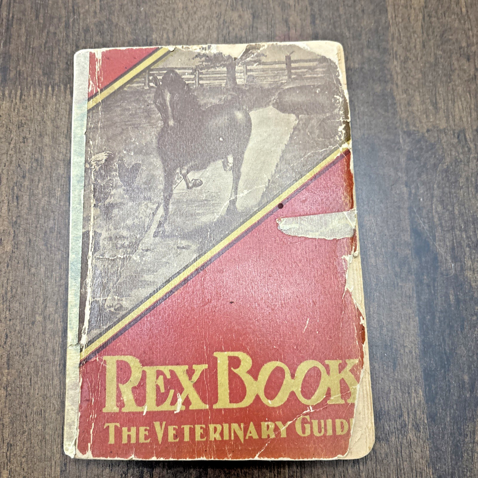 Veterinary Guide 1905 Rex Company Soft Cover Book Vintage Condition HTF