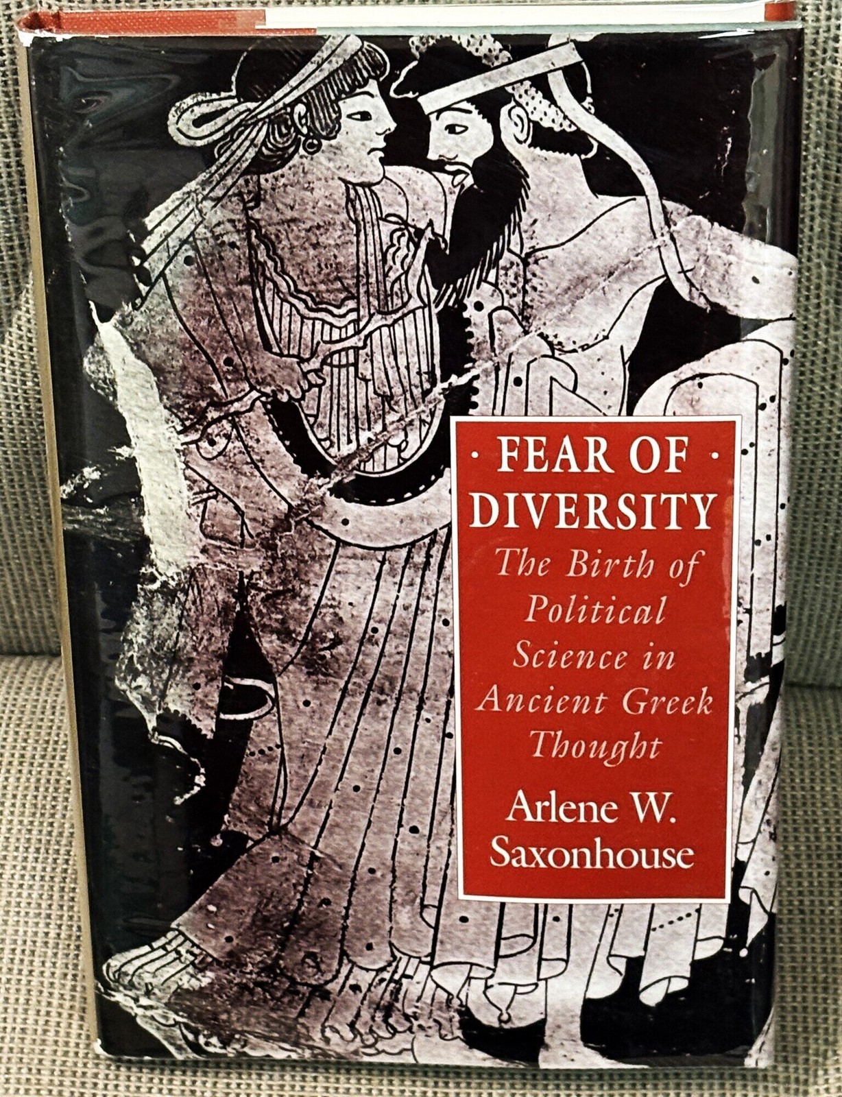 Arlene W Saxonhouse / FEAR OF DIVERSITY THE BIRTH OF POLITICAL SCIENCE 1st 1992