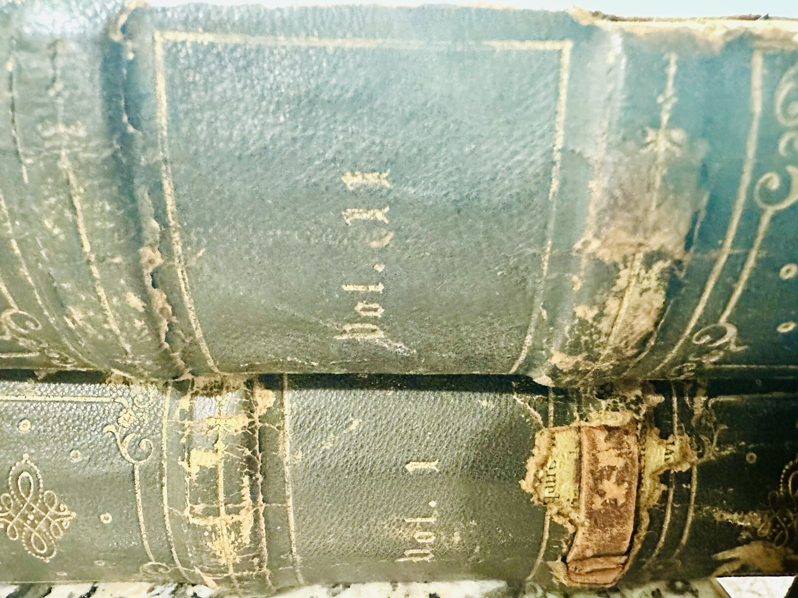 RESERVED Vintage Vol 1 & 2 Antique Gustave Dore Gallery Book Rare!