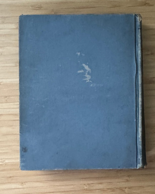The Wonderful Story of Jesus 1890 200 Youth Children’s Christianity Art Bible