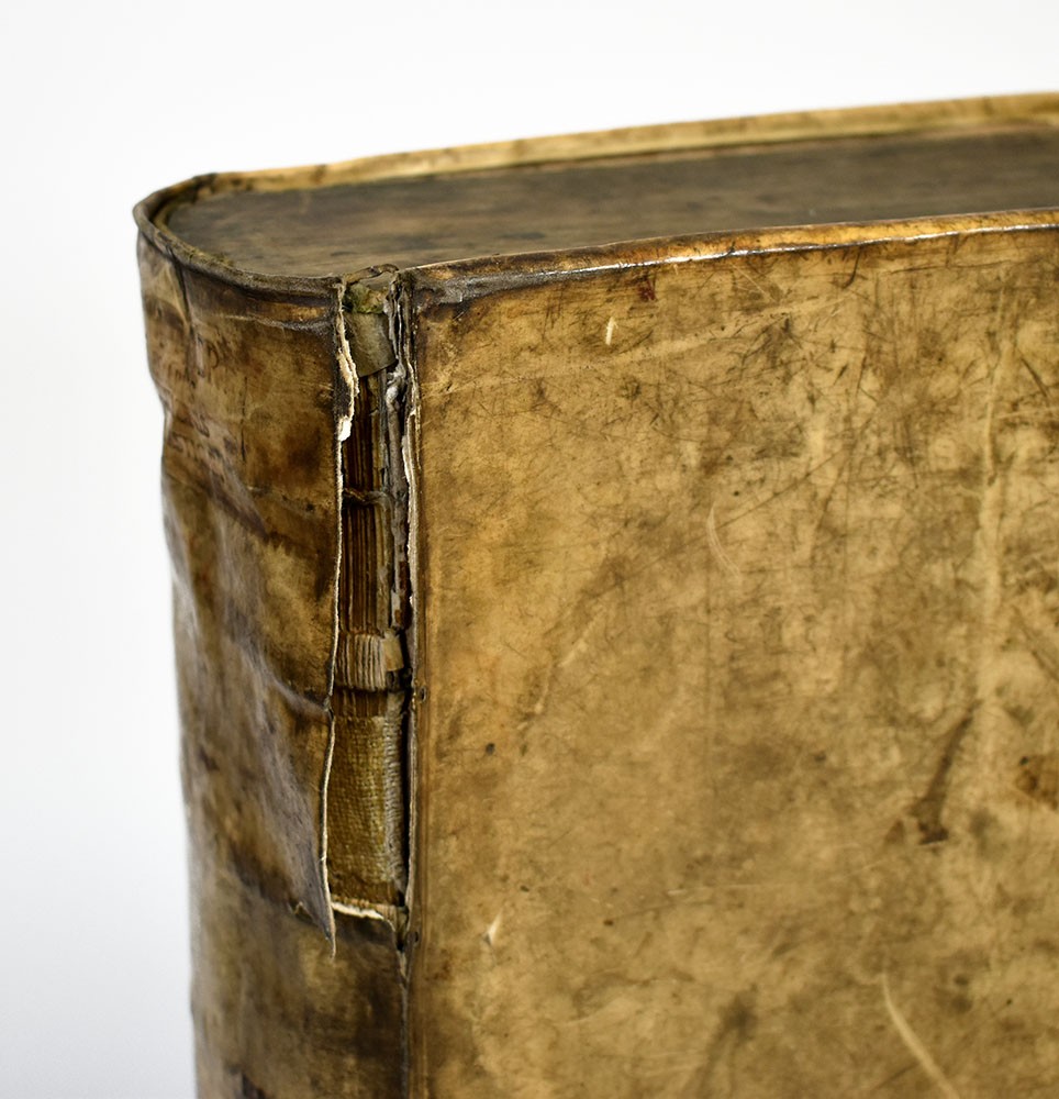 Faber, Thesaurus Eruditionis Scholasticae. Leipzig, 1717