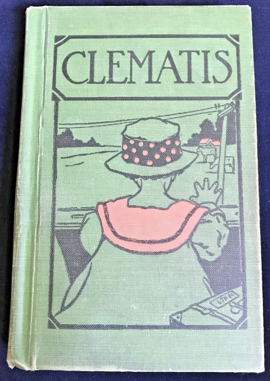 Clematis by Bertha B. and Ernest Cobb: 1955