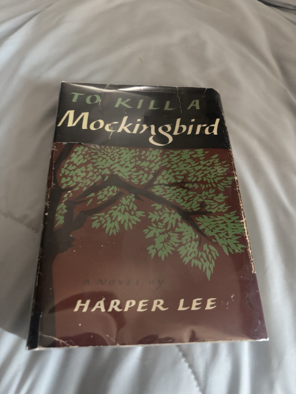 Harper Lee, To Kill a Mockingbird! Scarce Jacket! VG +