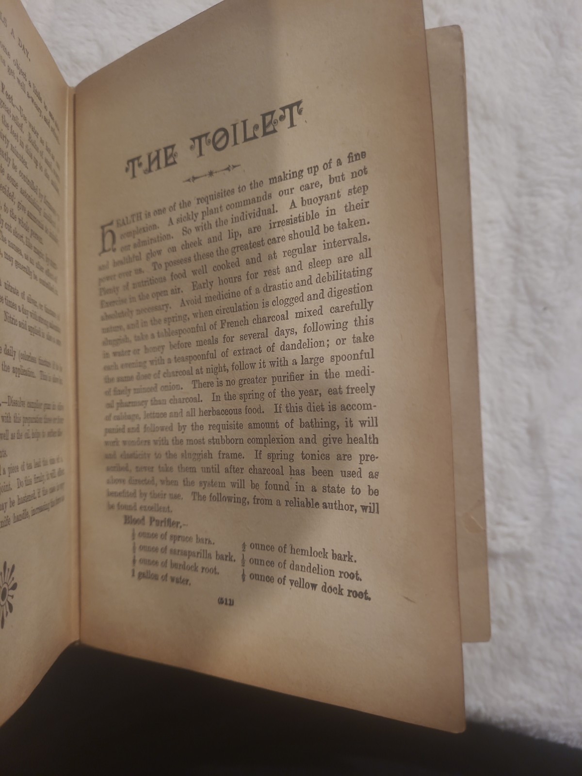 124 YEARS OLD – The Great 20th Century Cook Book: Three Meals A Day – 1902
