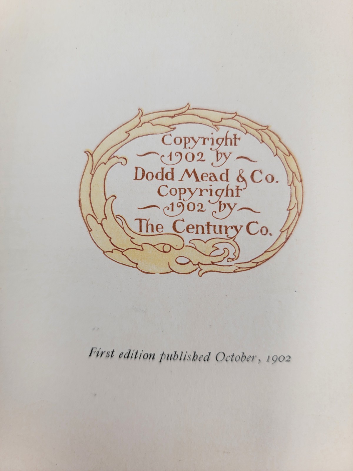 Wanted A Chaperone First Edition Book 1902 Paul Leicester Ford