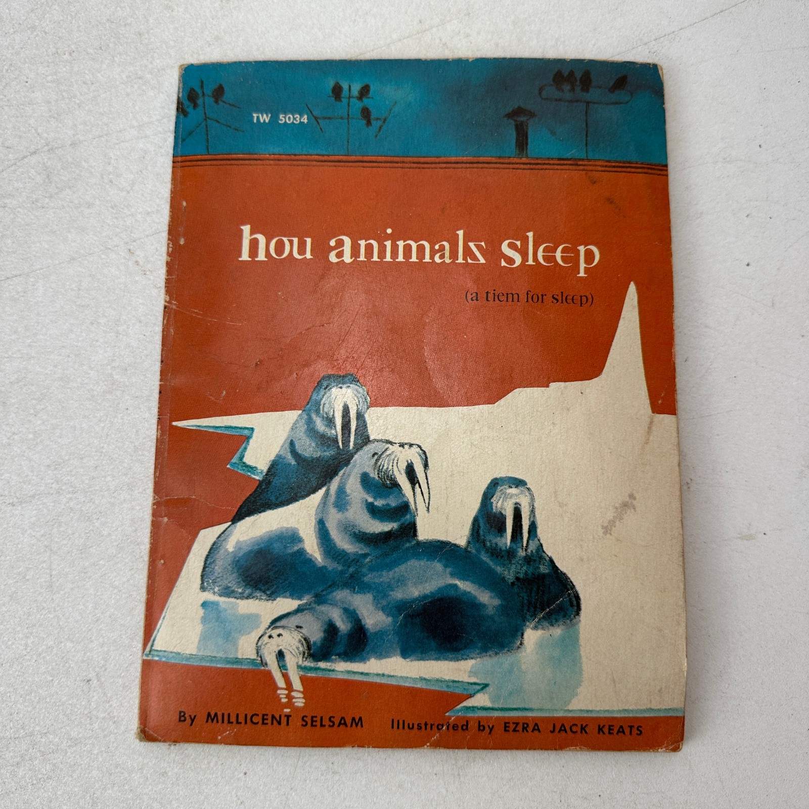 How Animals Sleep A Tiem for Sleep Millicent Selsam SC 1965