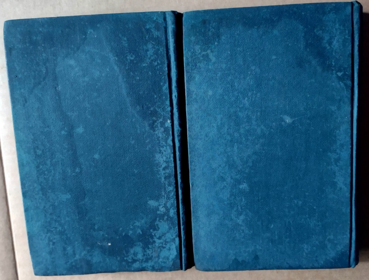 Lot of 2 -The Novels of Victor Hugo: Volumes 15 & 22 – P.F. Collier around 1900