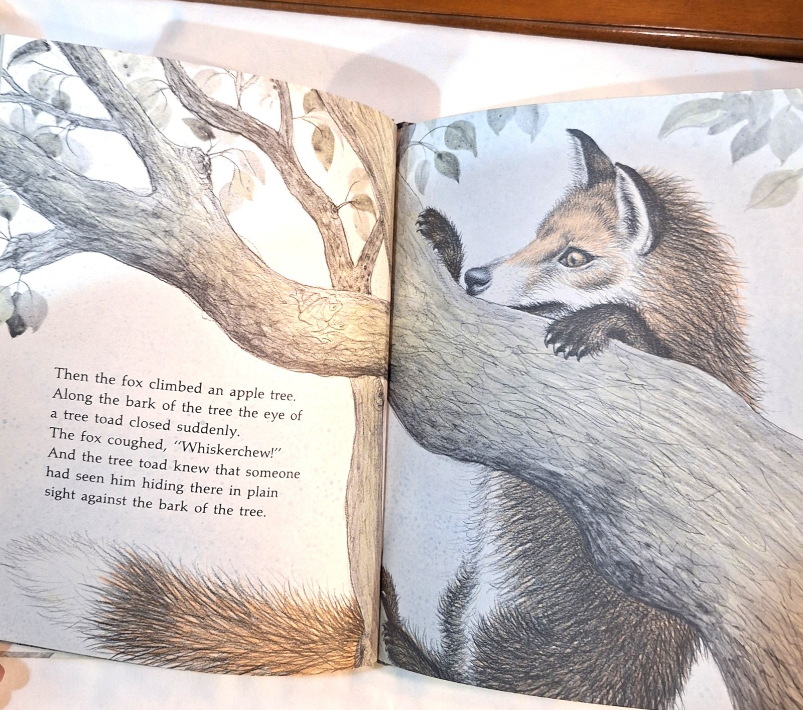 Vintage Book “Fox Eyes” by Margaret Wise Brown – 1977