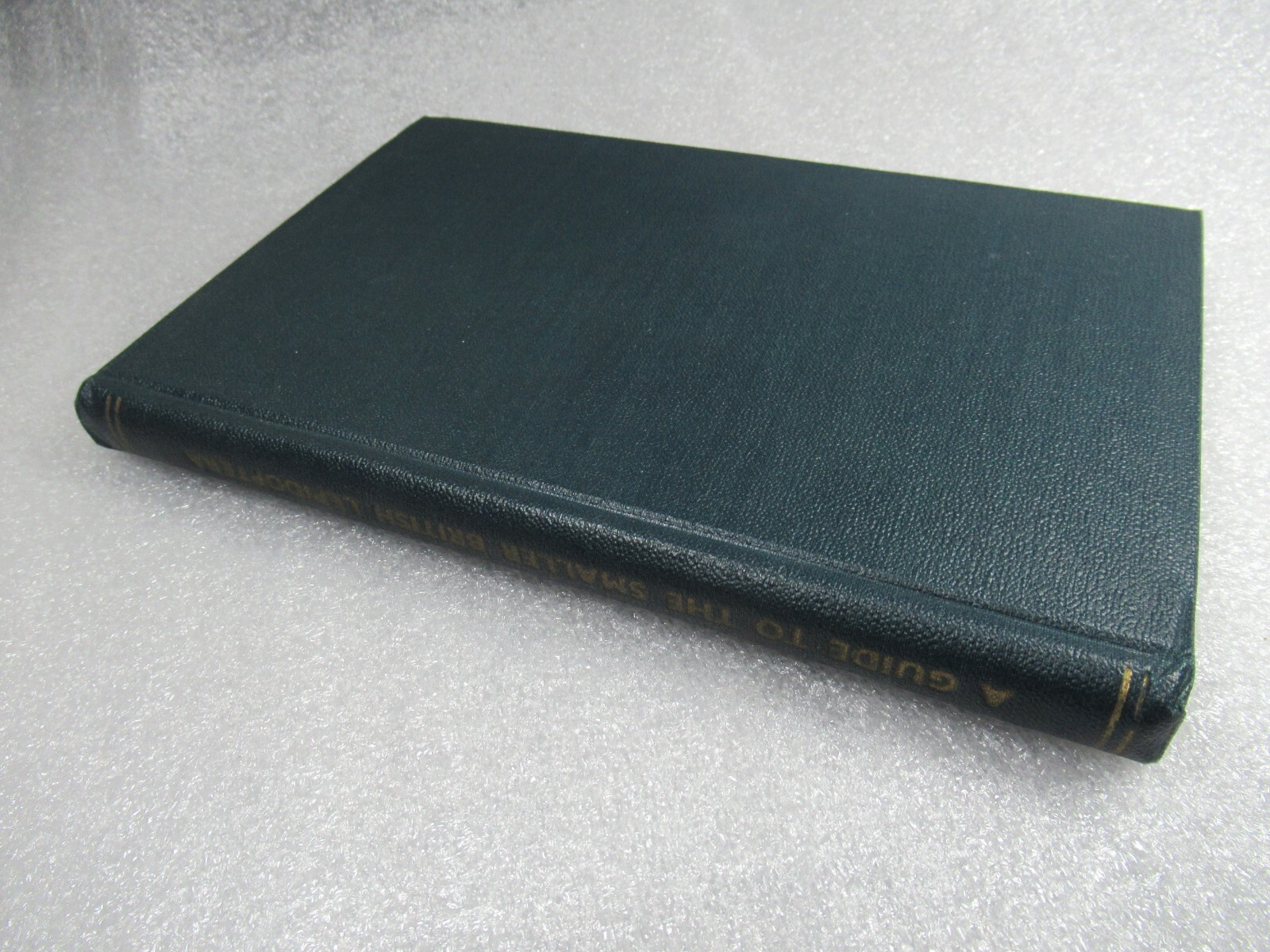 A Guide to the Smaller British Lepidoptera – L T Ford – 1949 HB