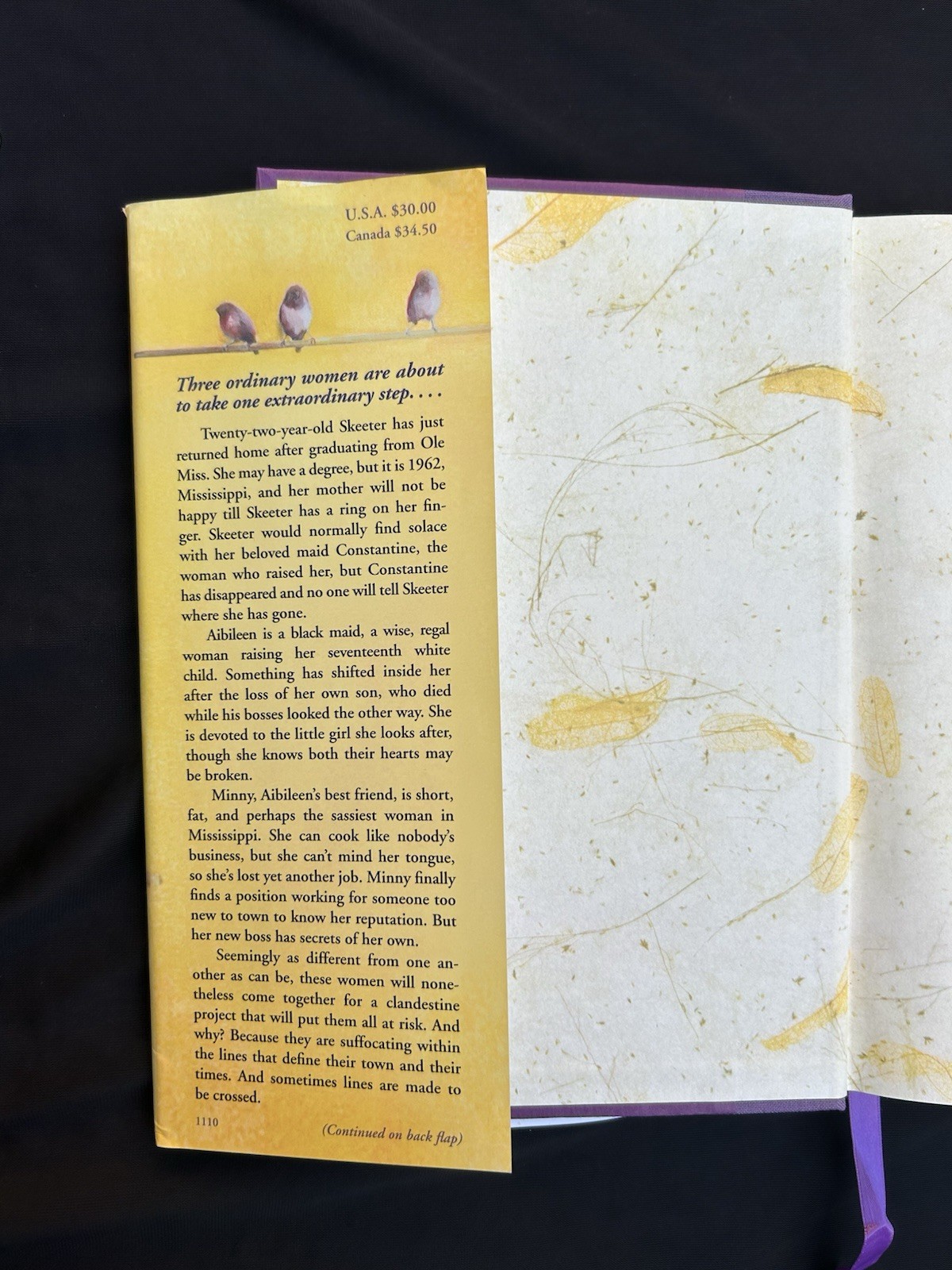 The Help – Kathryn Stockett. First Printing of Deluxe Edition – SIGNED by Author