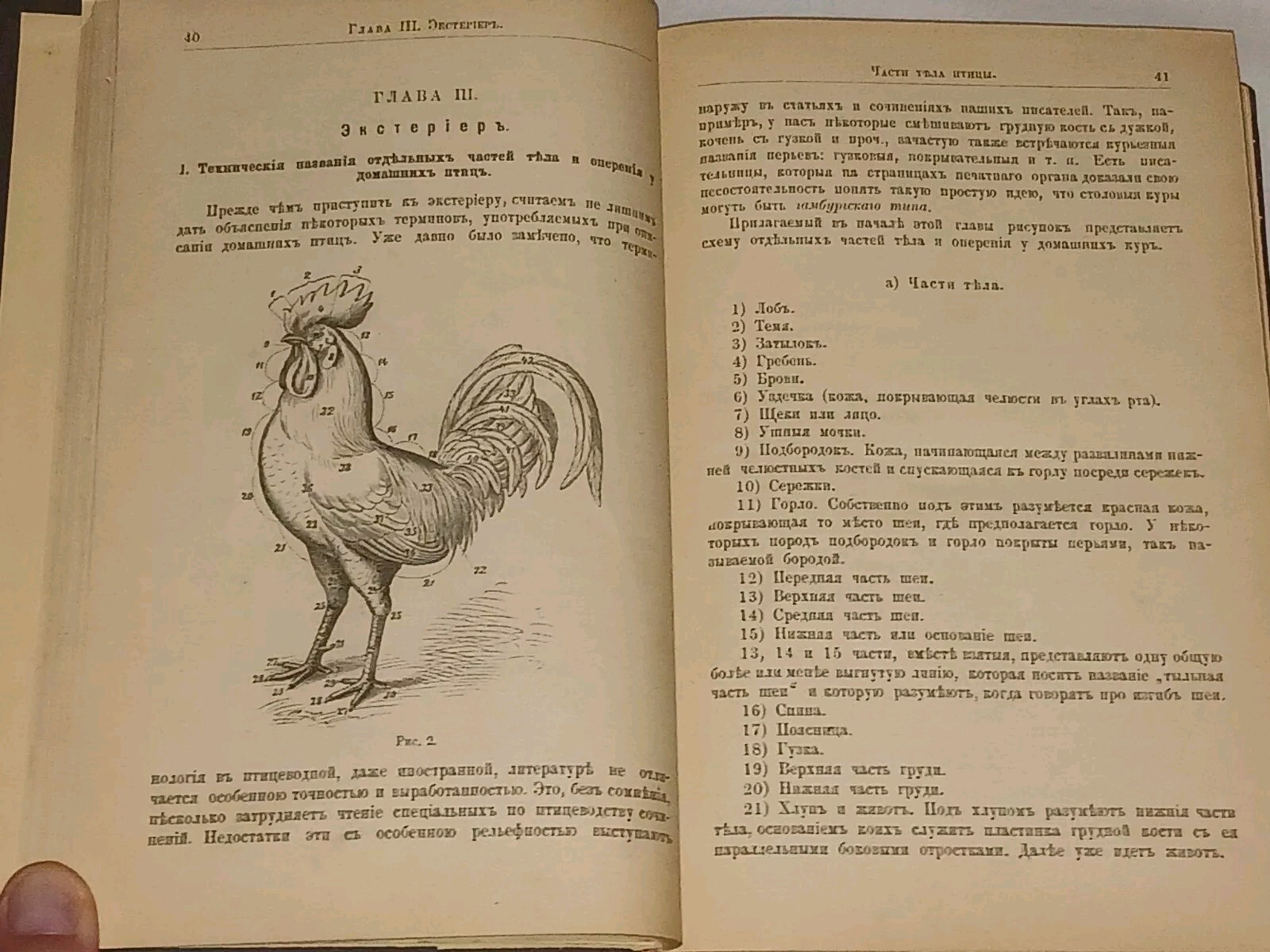 1895 ???????????? ?????? ???? ? ??????? ?????????? Antique book in Russian