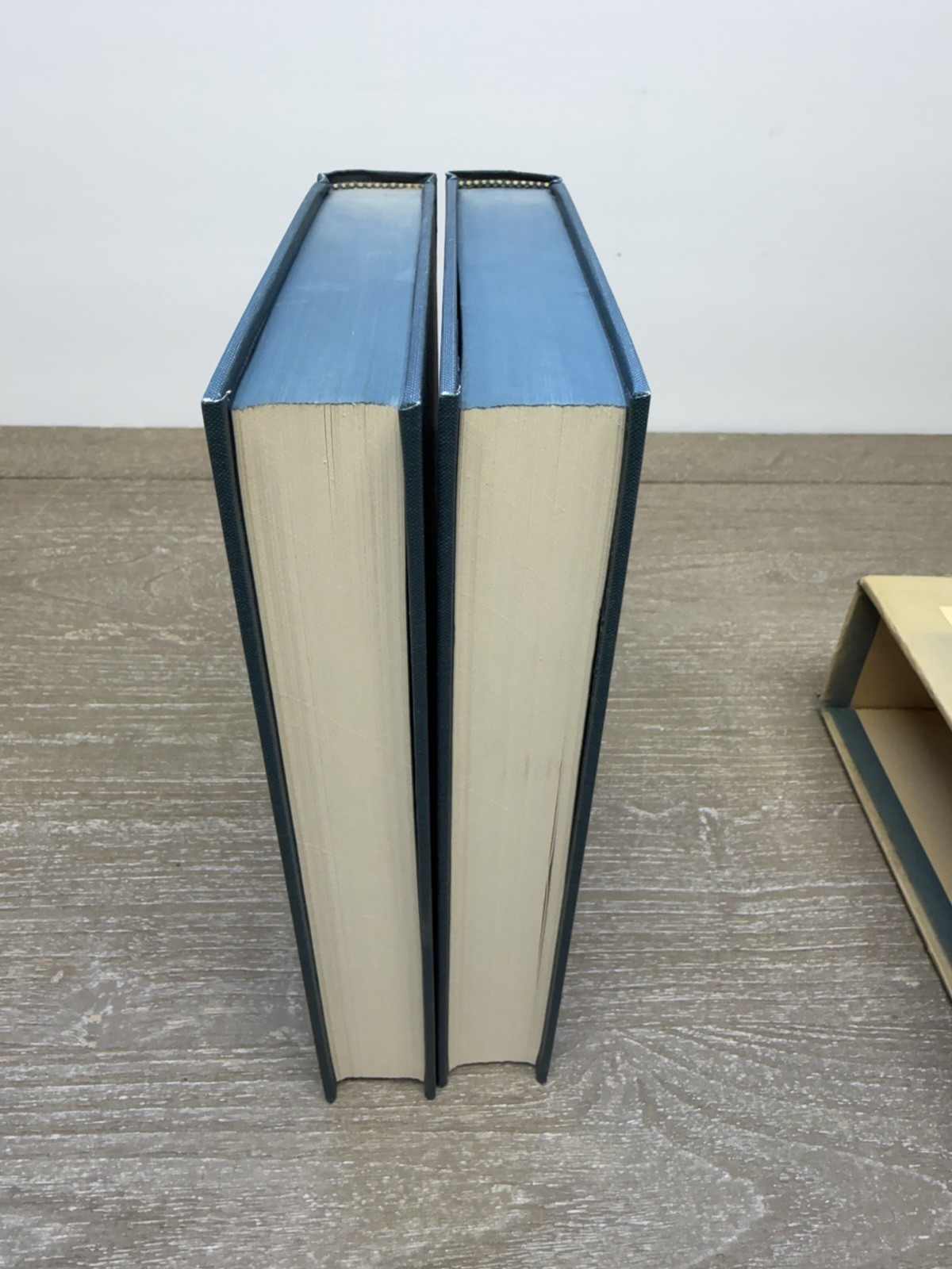 Voltaire Philosophical Dictionary 2 Volume HC Box Set Peter Gay Basic Books