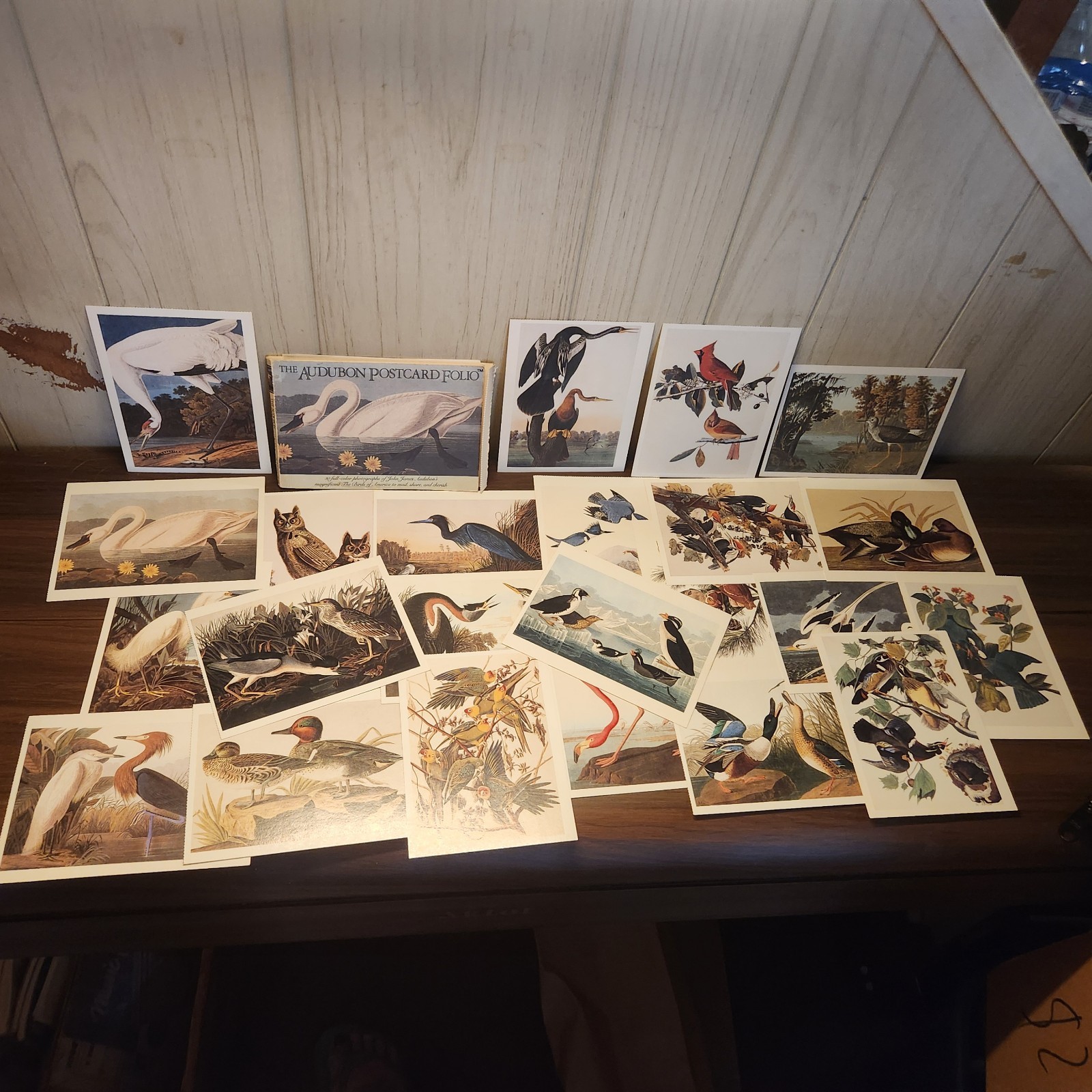 The Audubon Postcard Folio Birds of America John James 23 Vintage Postcards