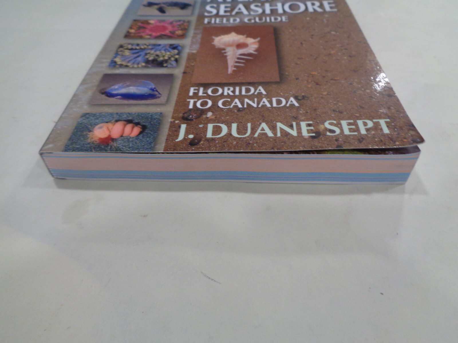Atlantic Seashore Field Guide: Florida to Canada by J. Duane Sept 2016 1st Ed